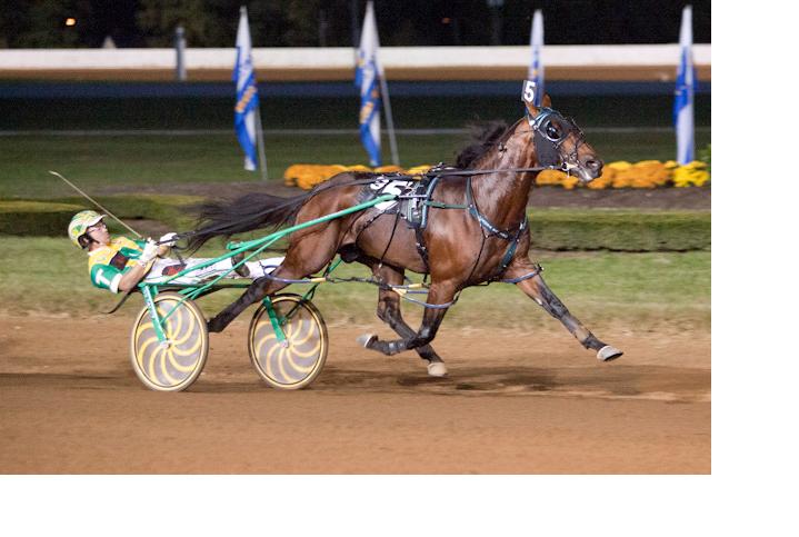 Captaintreacherous_Bluegrass