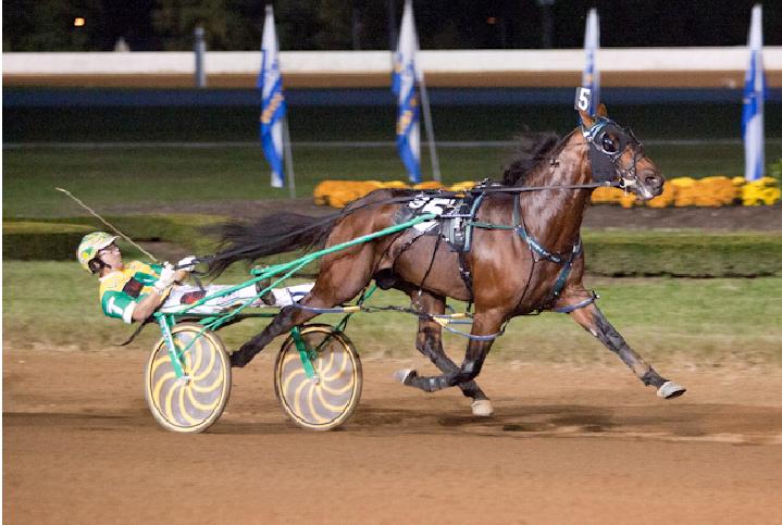 Captaintreacherous_Bluegrass
