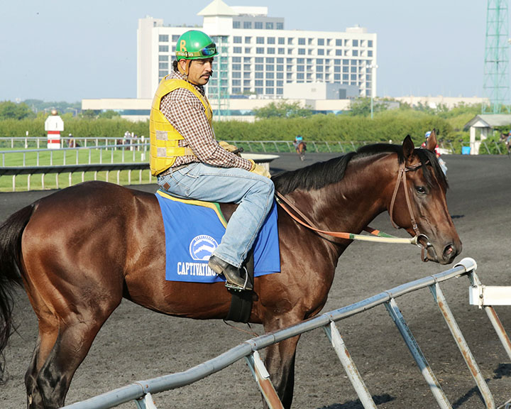 Captivating Moon at Arlington Park in 2018