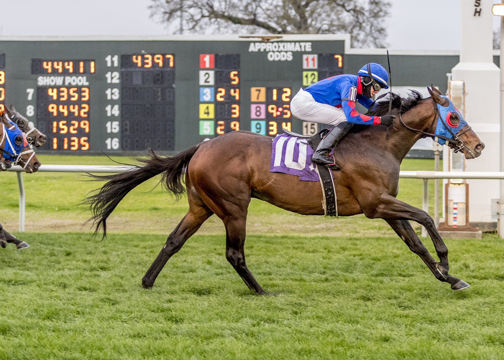 Captivating Moon wins Fair Grounds Stakes 2-13-2021