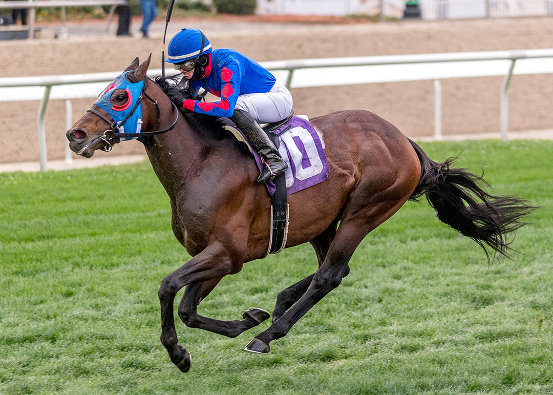 Captivating Moon wins the 2021 Fair Grounds Stakes at Fair Grounds