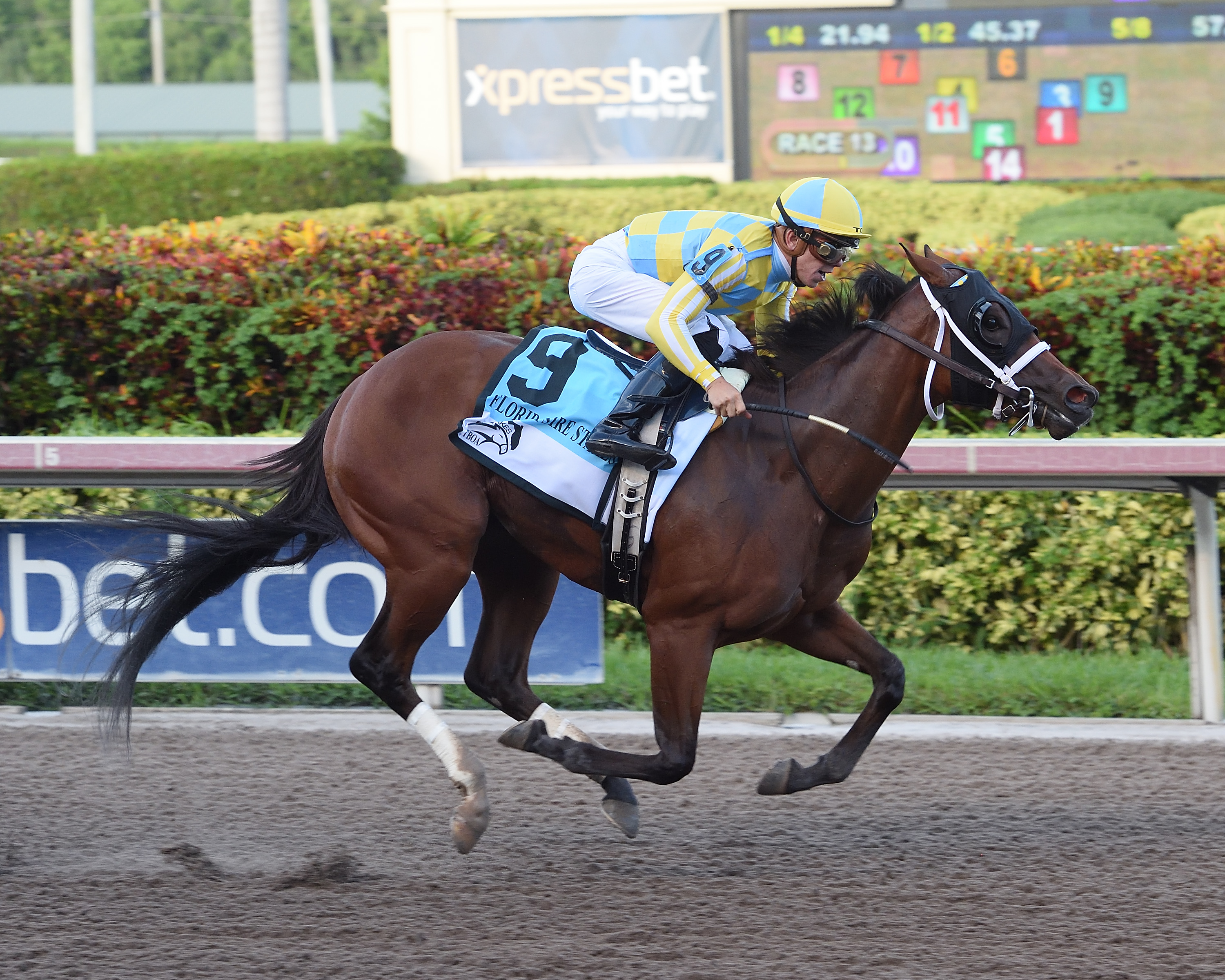 Capture Your Dream wins the 2018 Desert Vixen Stakes