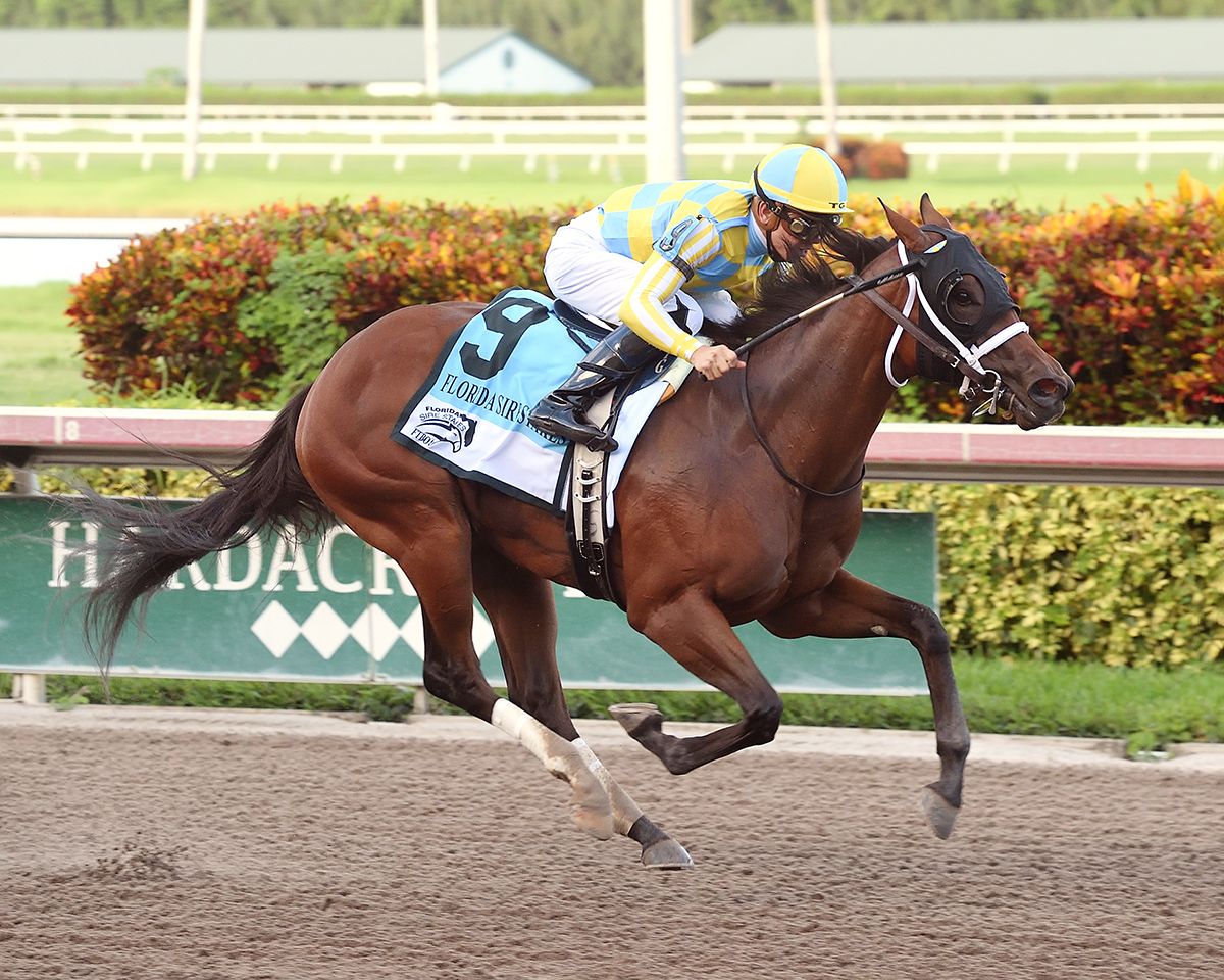 Capture Your Dream wins the Desert Vixen Stakes