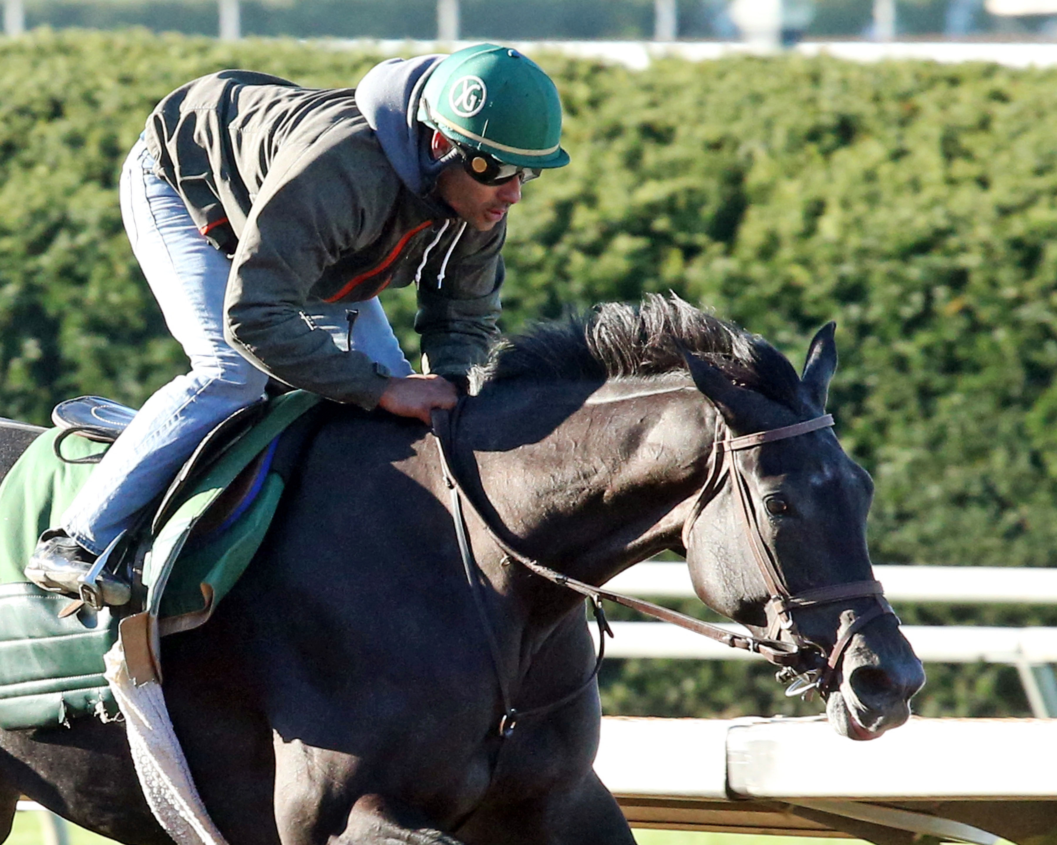 Cara Marie trains at Keeneland on Oct. 17