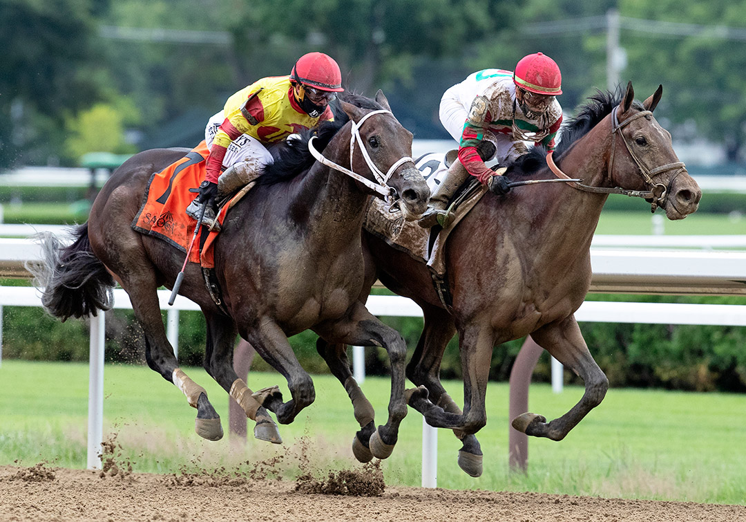 Caracaro (left) finishes second in the 2020 Peter Pan Stakes at Saratoga