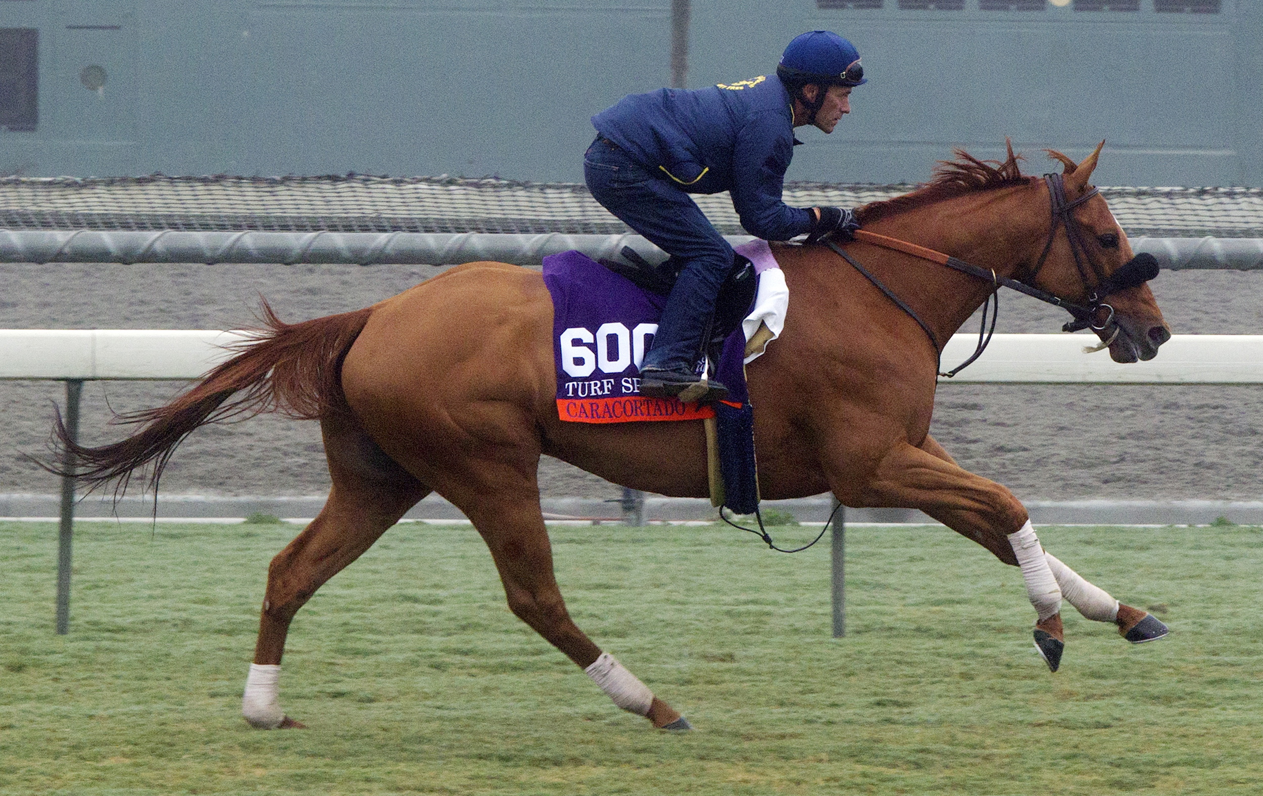Caracortado trains at Santa Anita Park