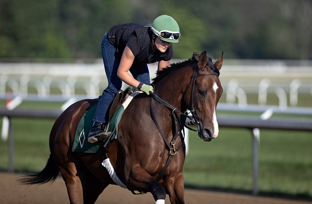 Caramel Swirl trains at Saratoga Race Course on Aug. 16