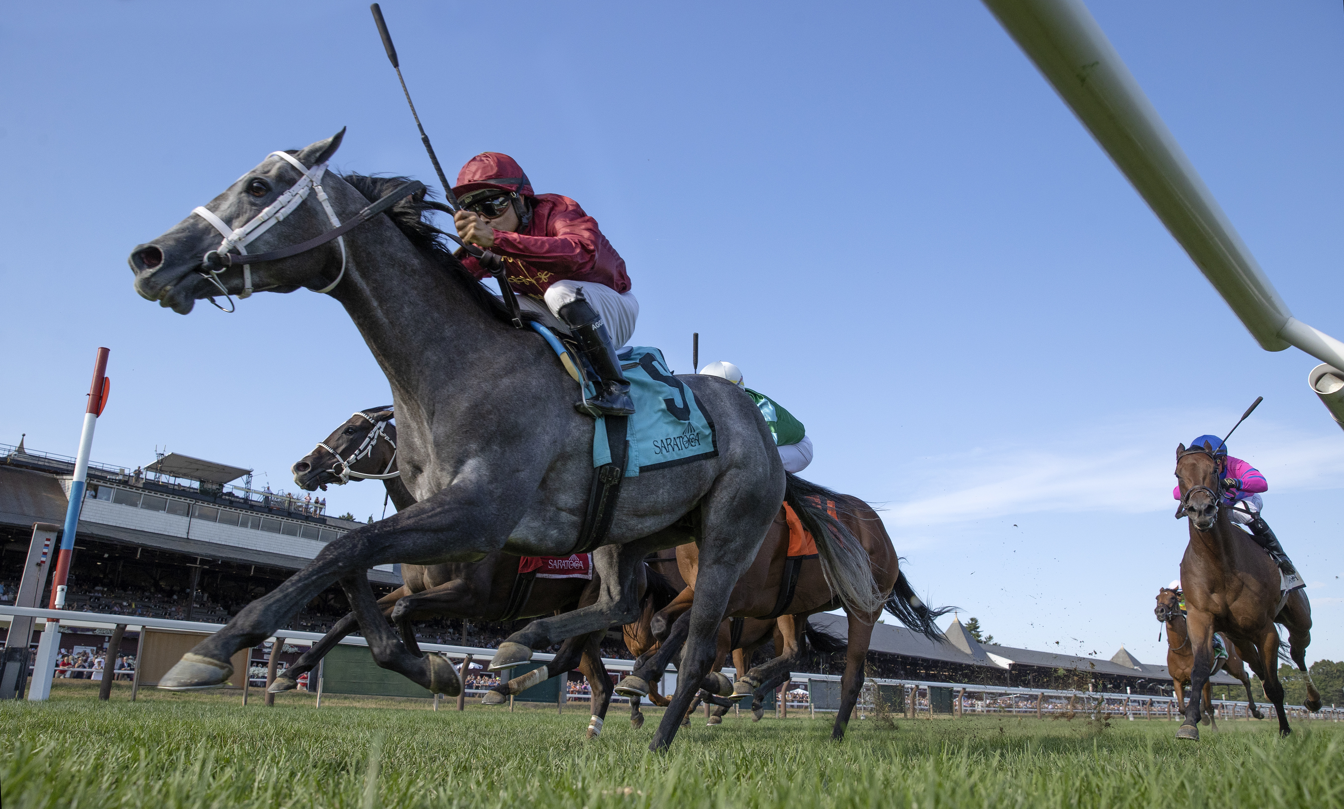 Caravel wins the Smart N Fancy at Saratoga Aug 20 2022