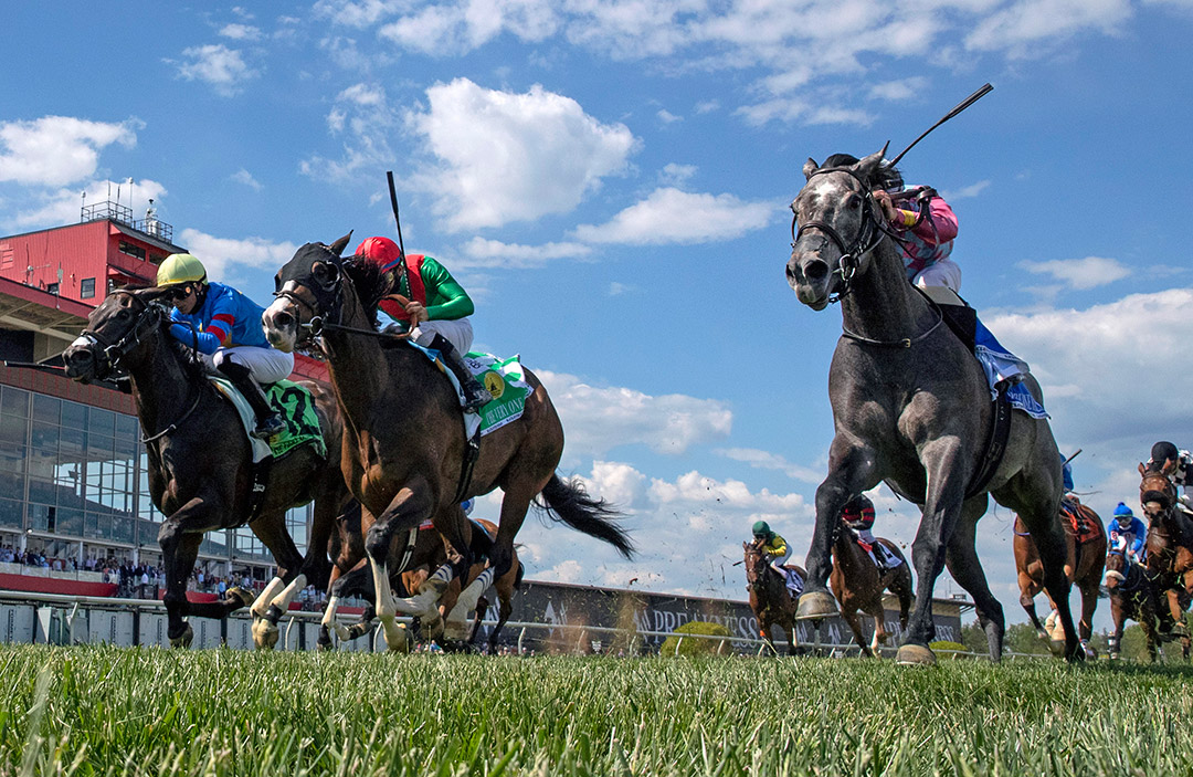 Caravel wins the 2021 The Very One Stakes at Pimlico Race Course