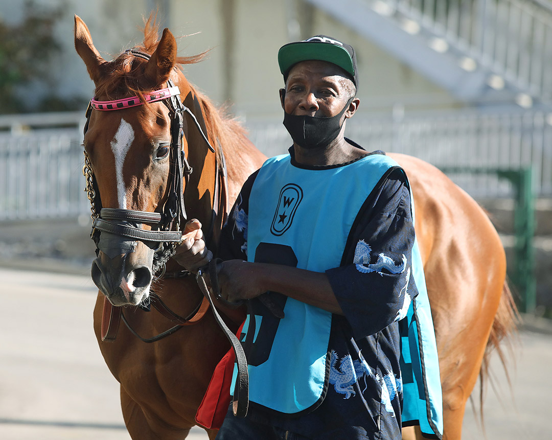 Cardio Princess at Woodbine Racetrack in September 2021