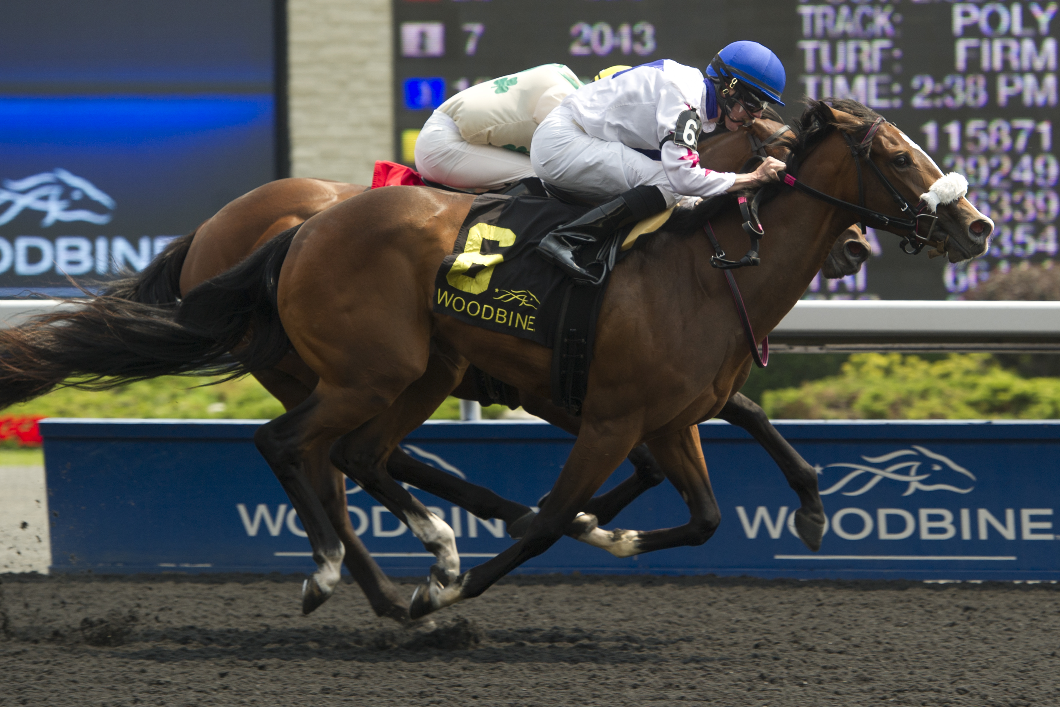 Caren wins 2015 Shady Well