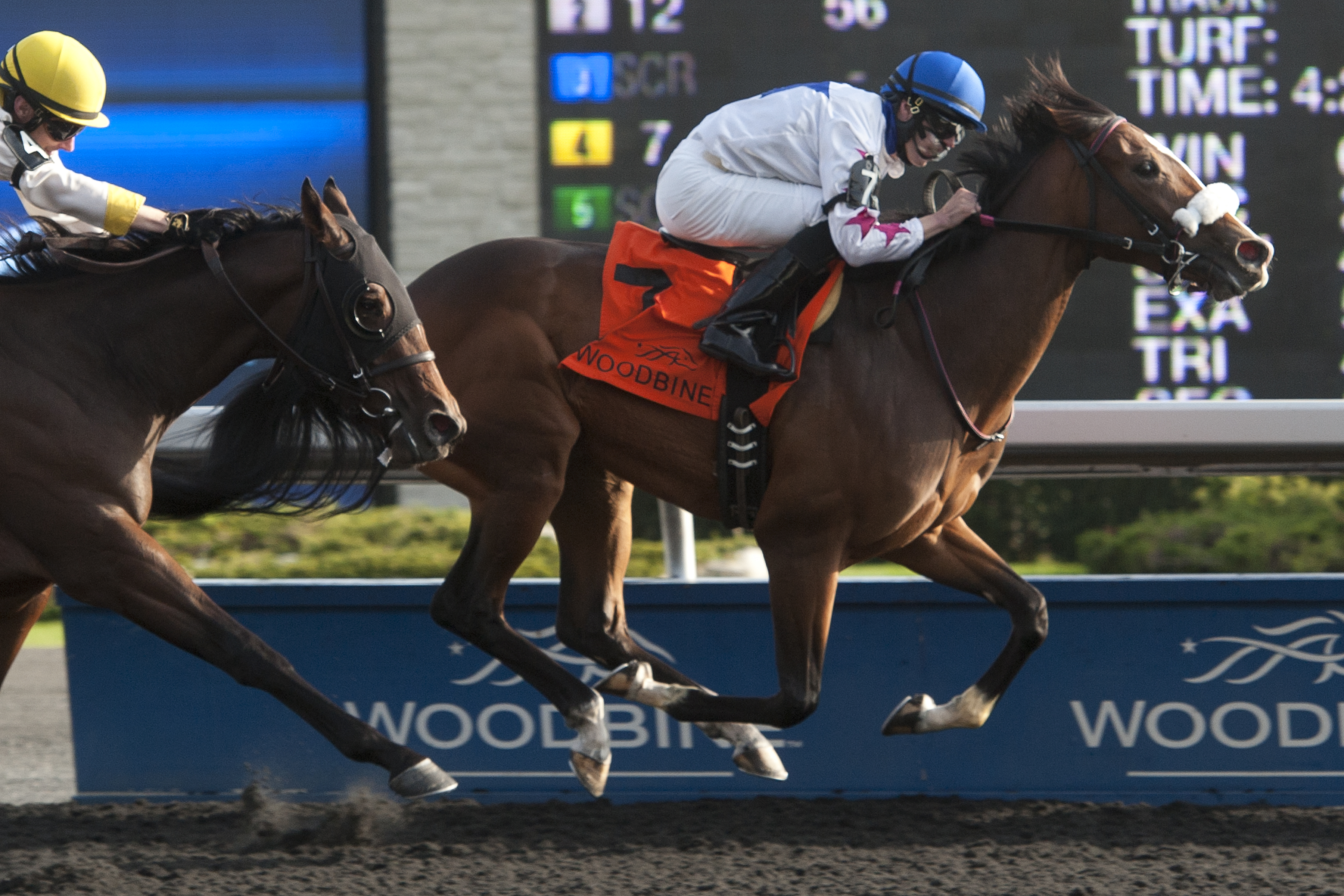 Caren wins 2015 Victorian Queen
