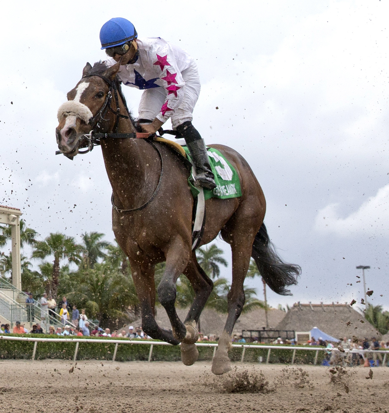 Caren finishes sixth in the Any Limit Stakes