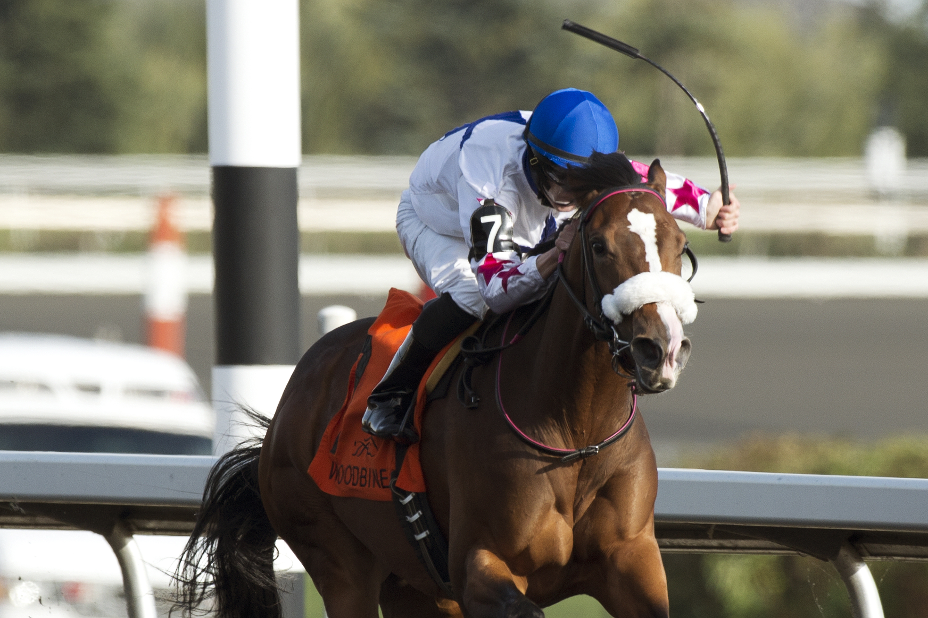 Caren wins the Victorian Queen