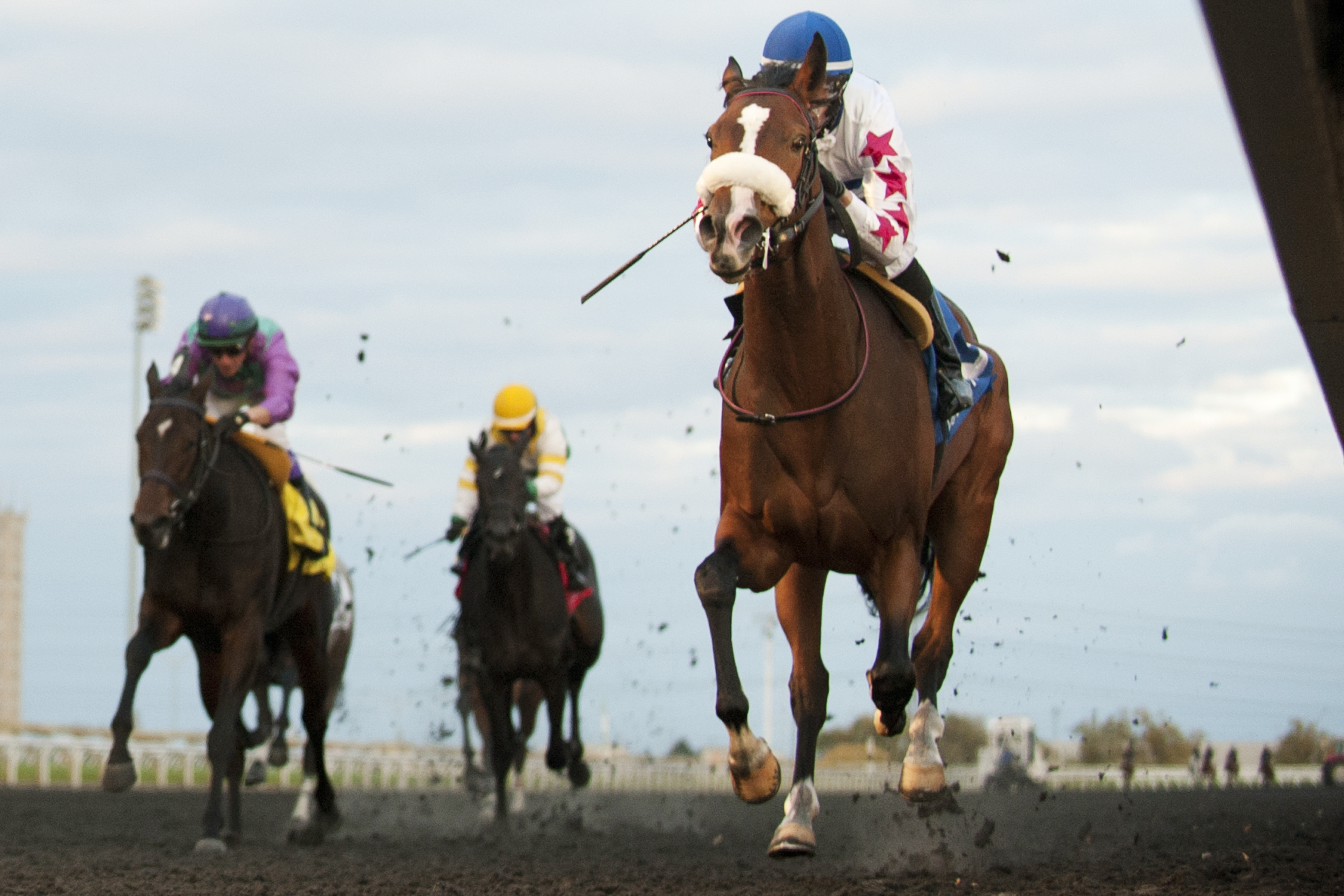 Caren wins the Princess Elizabeth