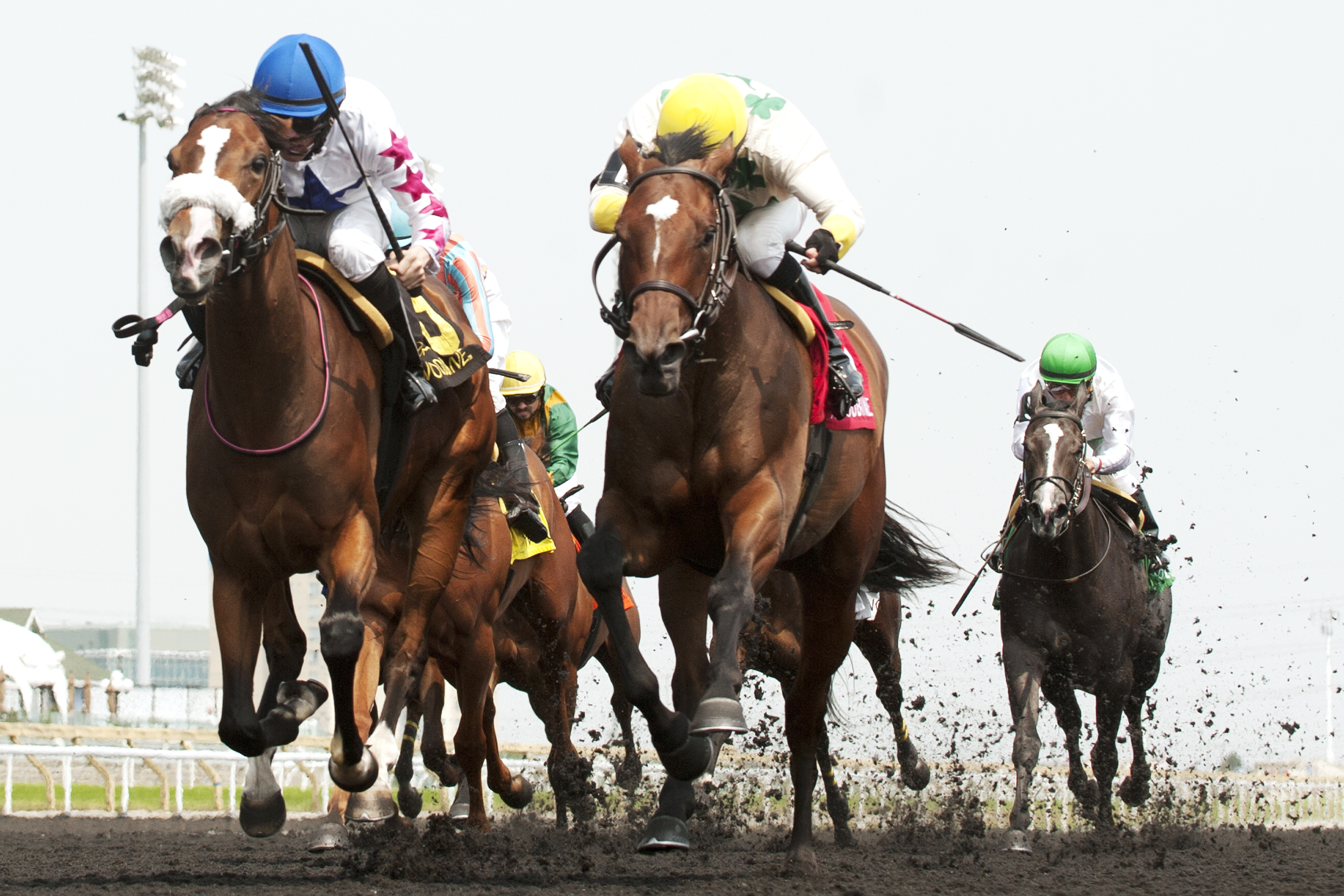 Caren wins the Shady Well