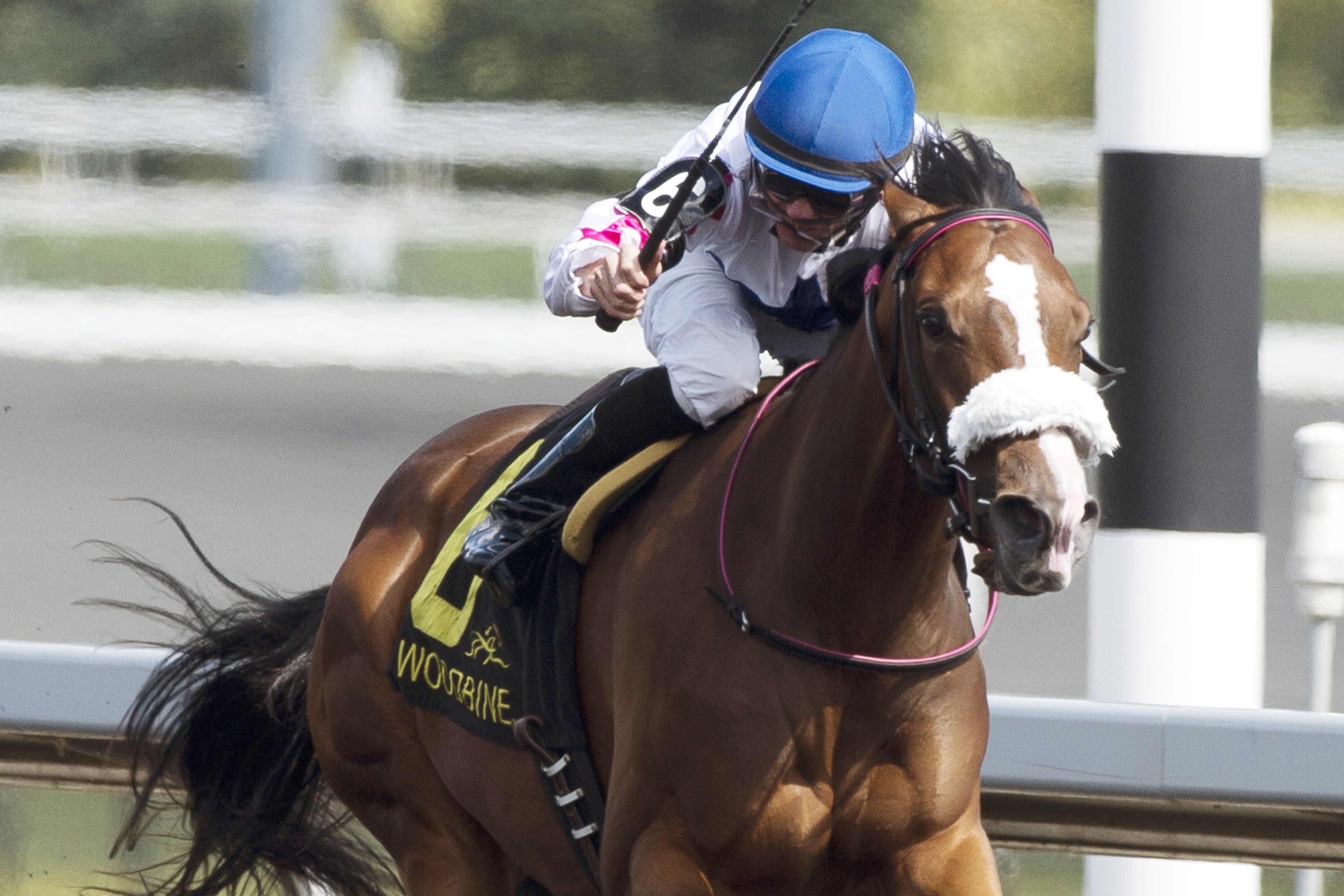 Caren wins the Nandi Stakes