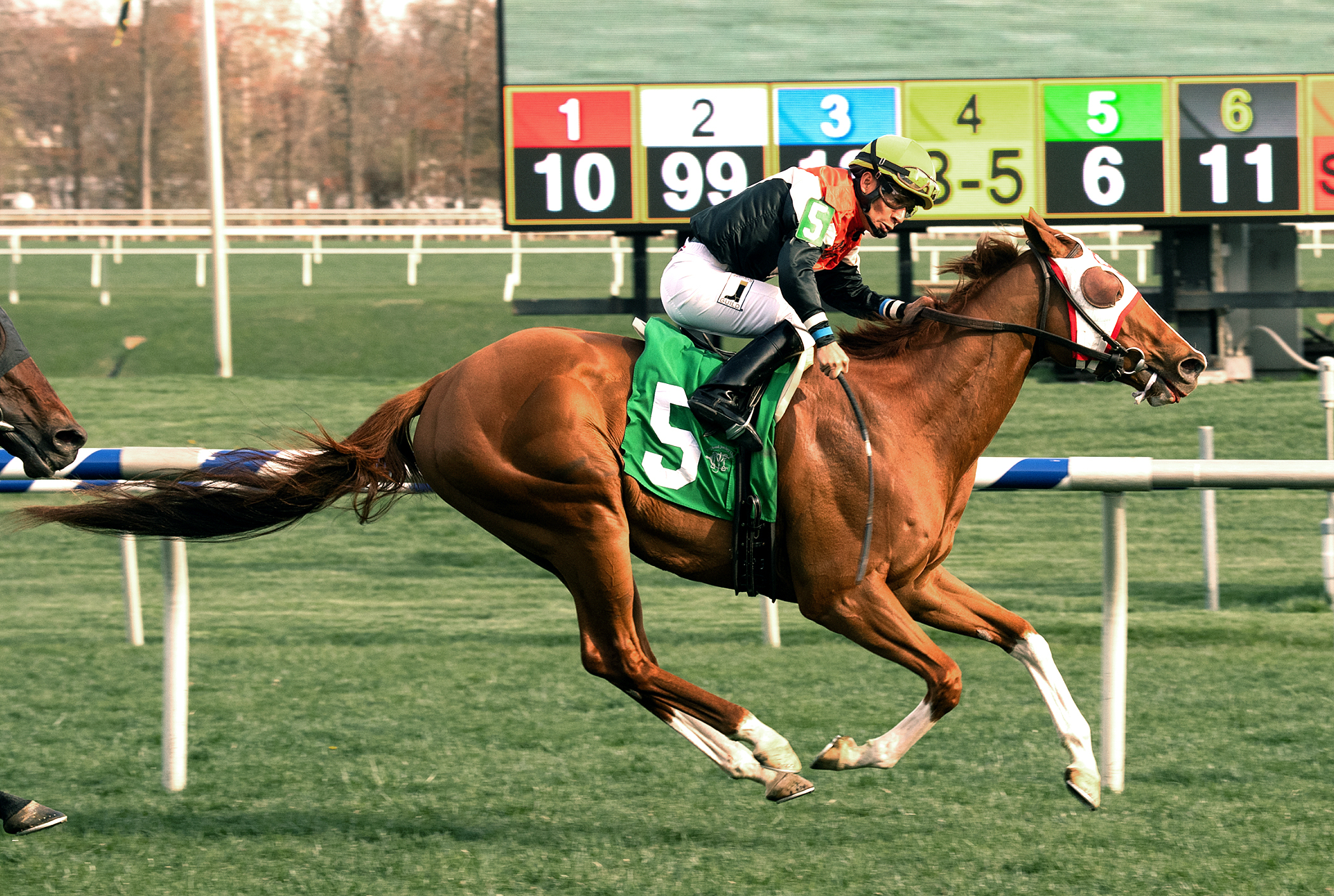 Caribou Club wins 2018 Henry S. Clark Stakes