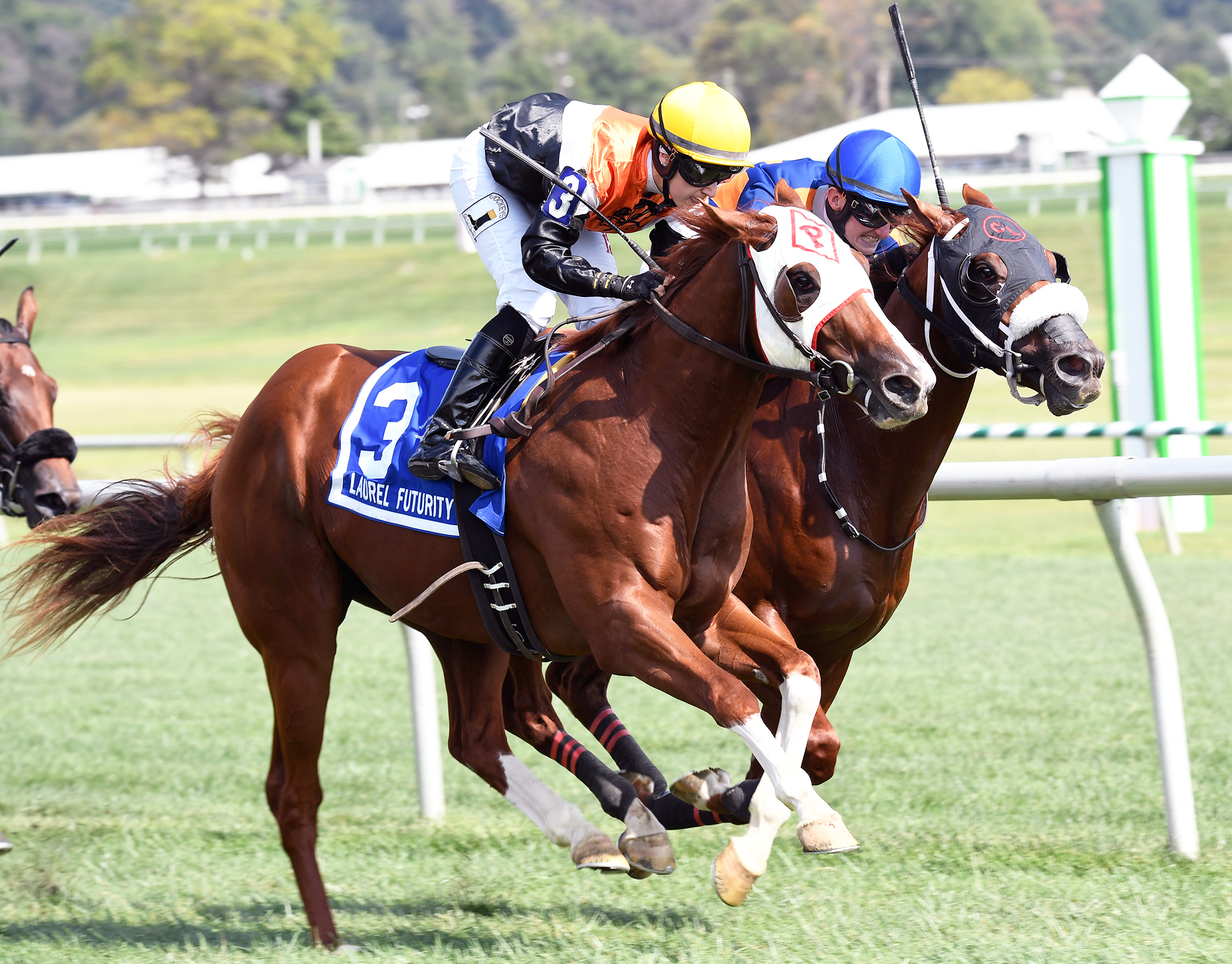 Ashley Castrenze guides Caribou Club to victory in the 2016 Laurel Futurity