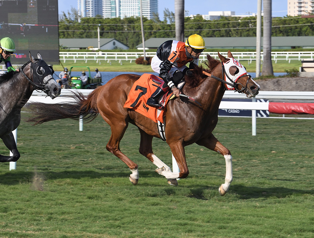 Caribou Club wins the 2021 Summer Isles Handicap at Gulfstream Park