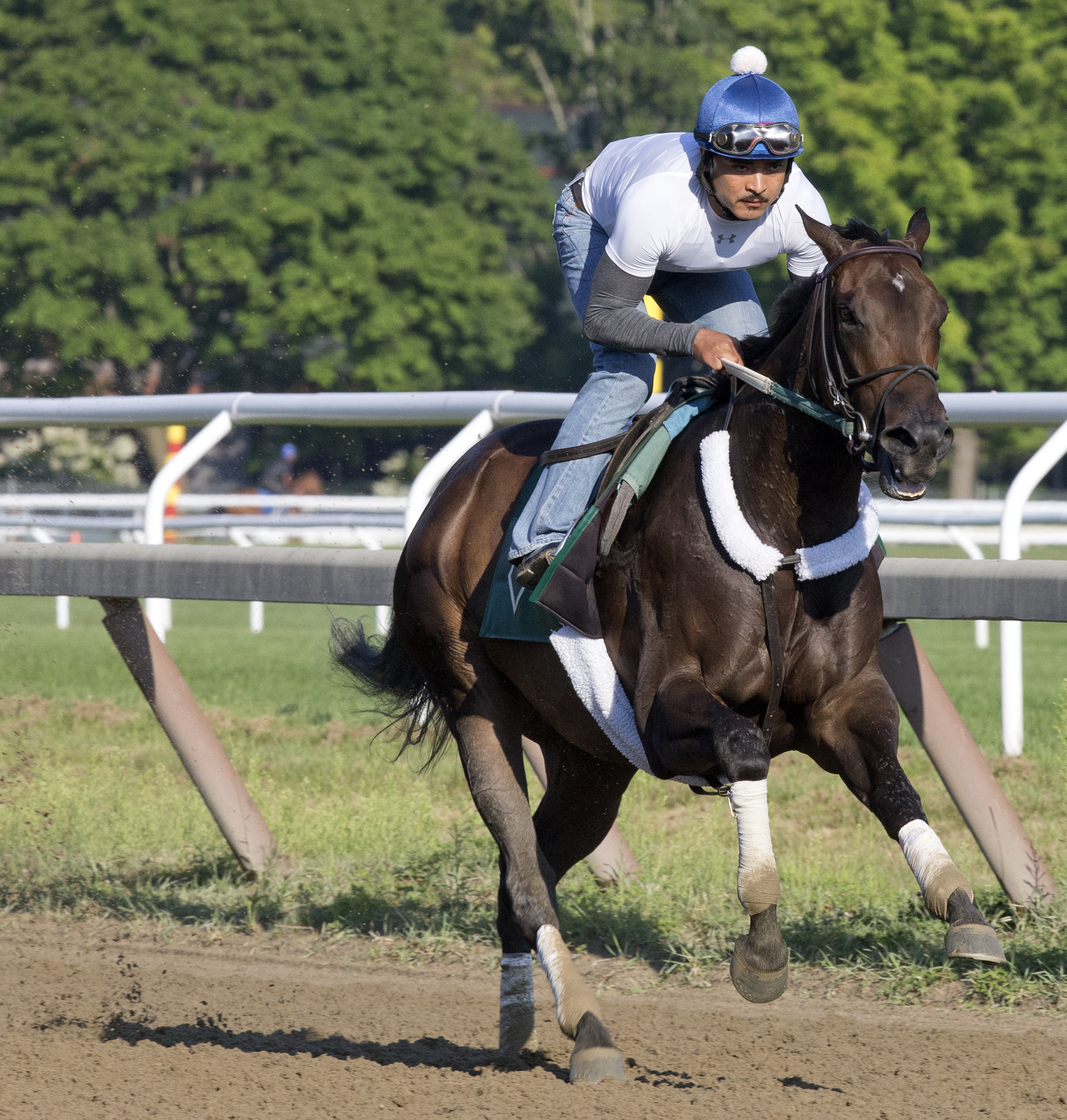 Carina Mia trains at Saratoga on Aug. 5