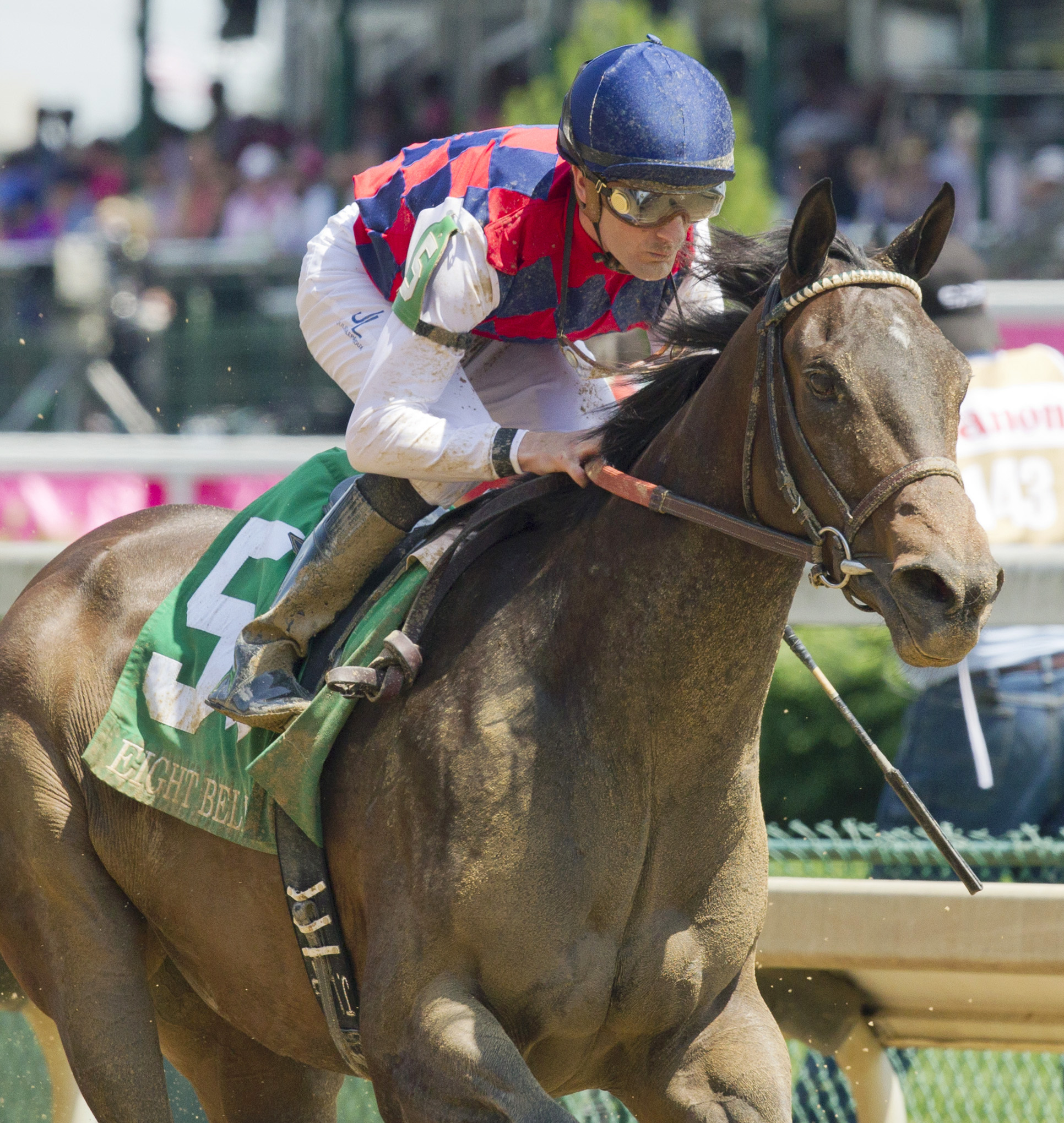 Carina Mia wins the Eight Belles