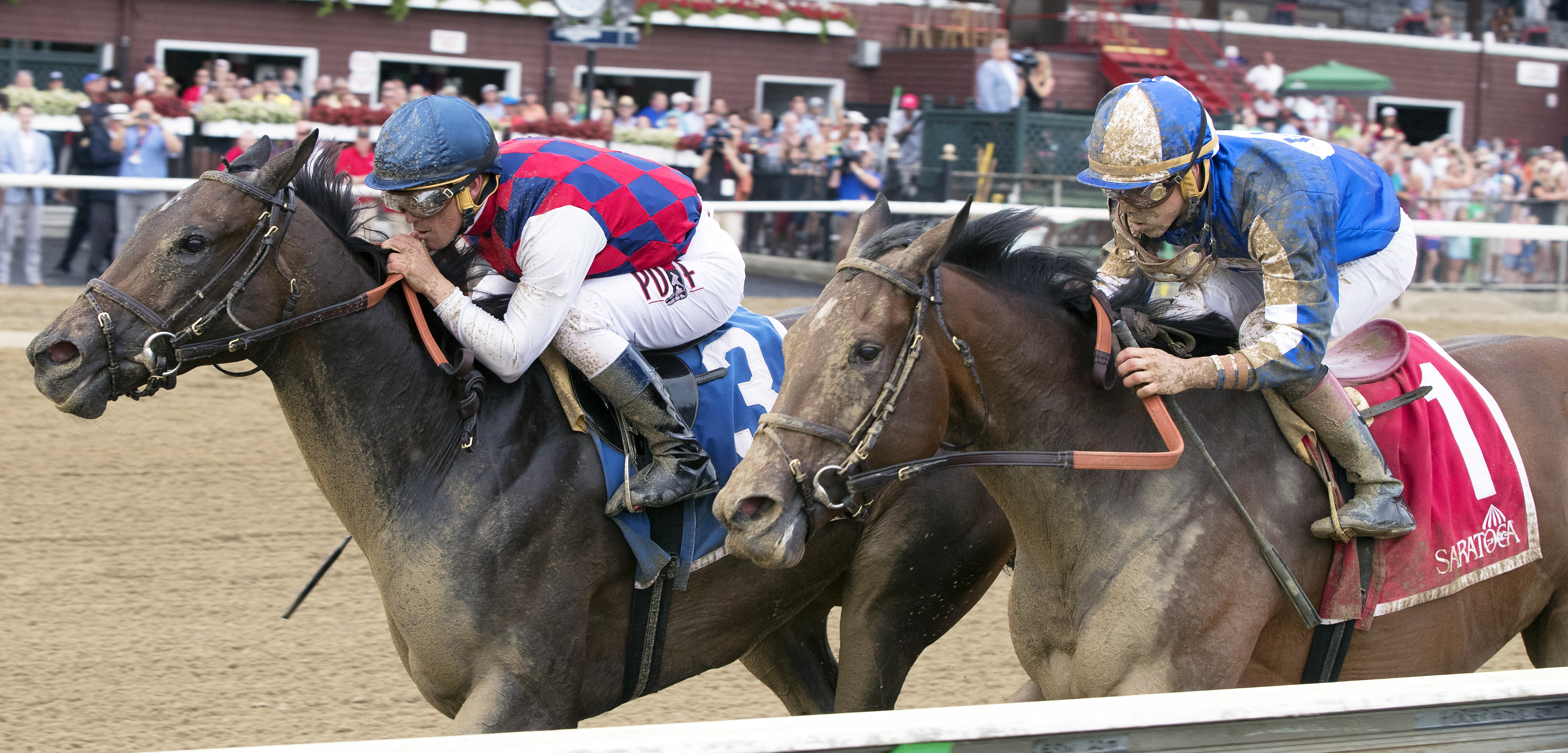 Going for Broke finishes second in the 2017 Shine Again