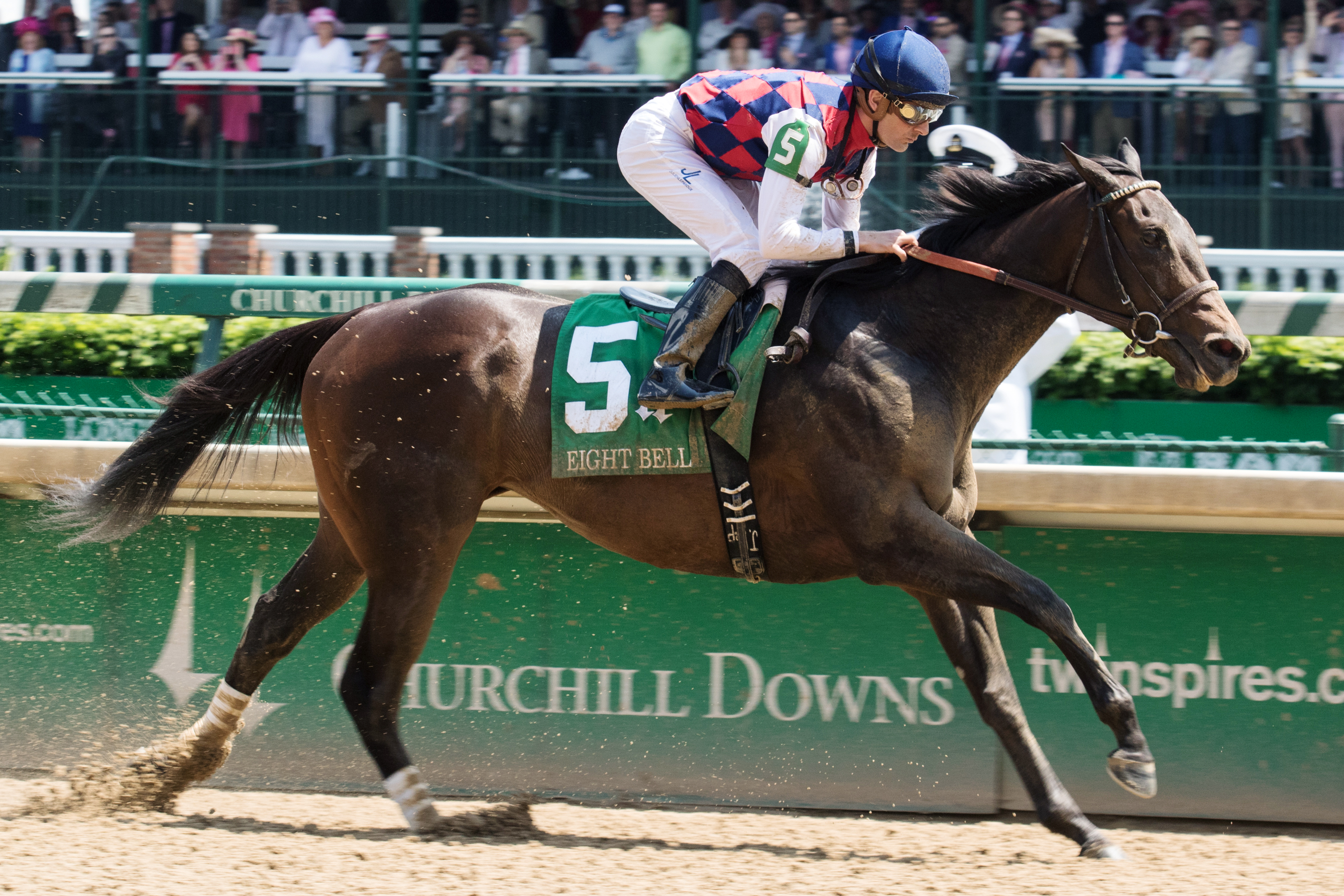 Carina Mia wins the Eight Belles