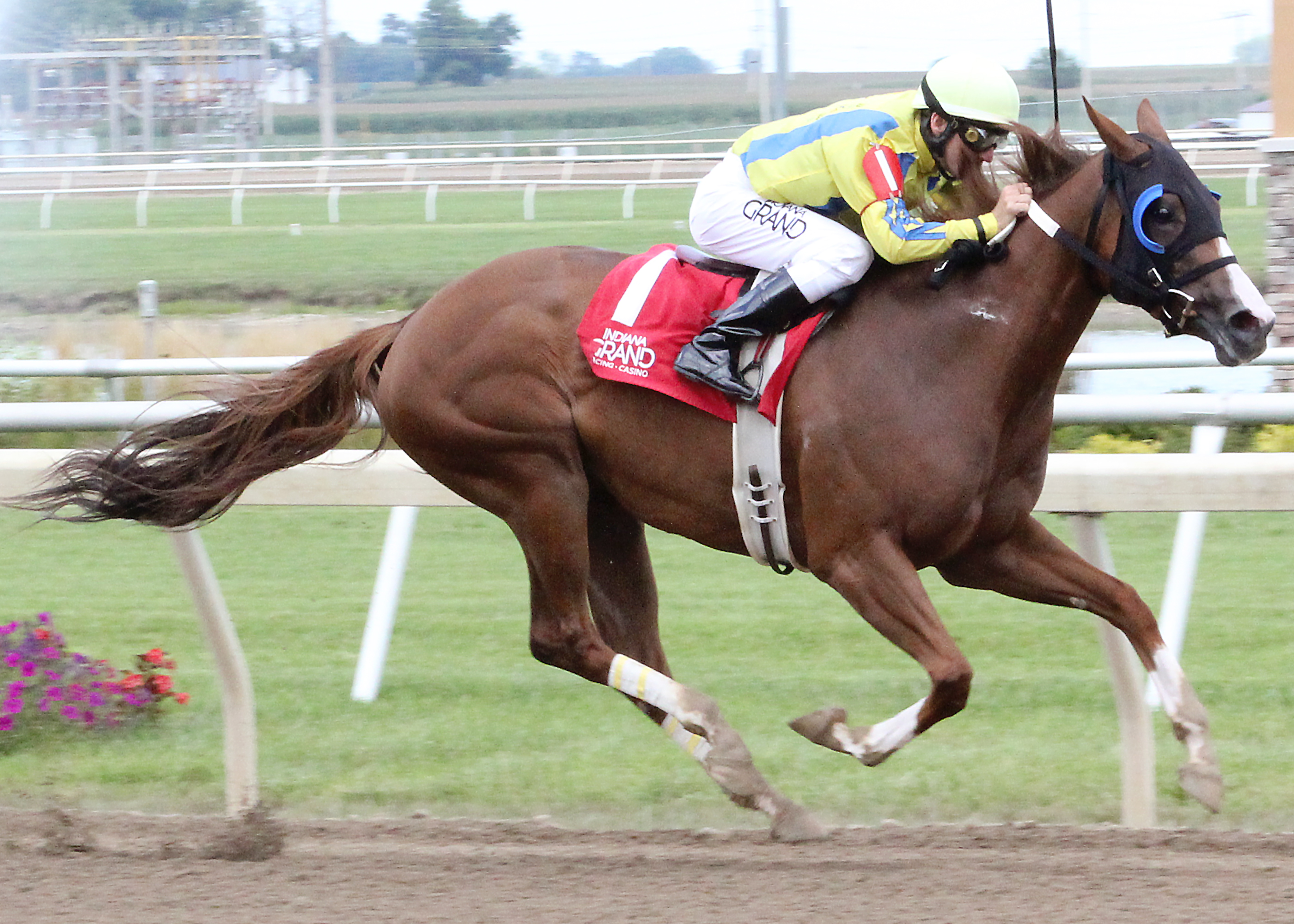 Carmalley Chrome wins the Indiana First Lady Stakes