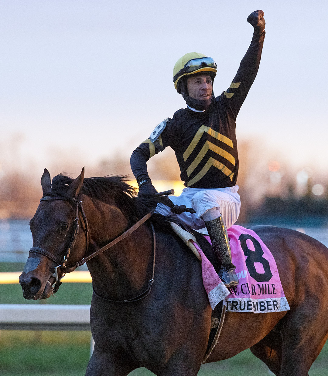 Kendrick Carmouche celebrates winning the Grade 1 Cigar Mile aboard True Timber