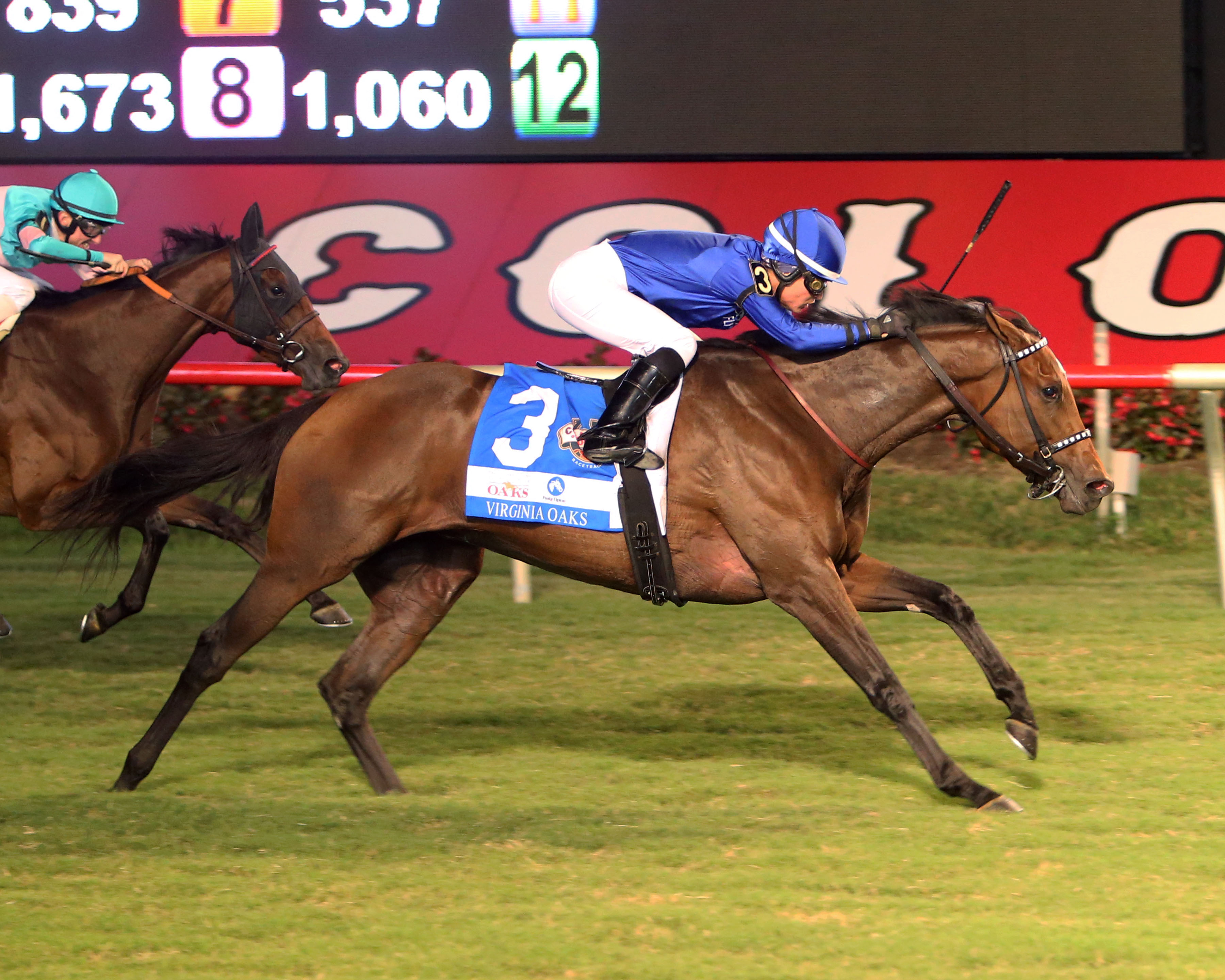 Carnival Colors wins Virginia Oaks 8-31-2019.Coady