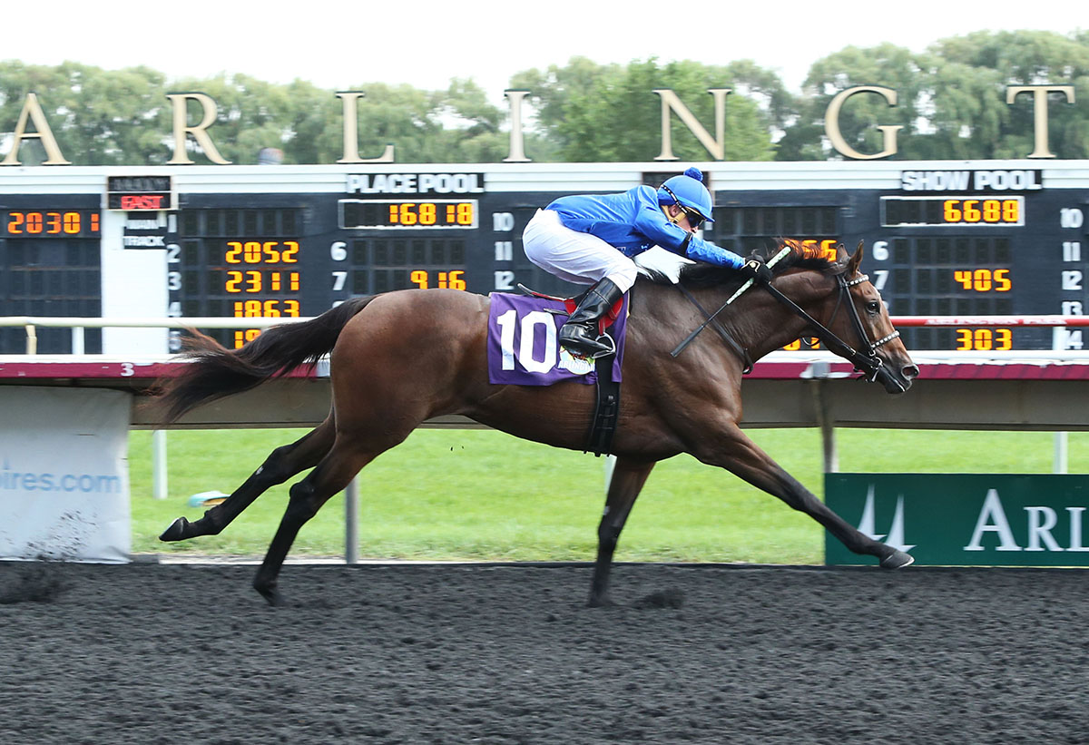 Carnival Colors wins an Aug. 16 maiden race