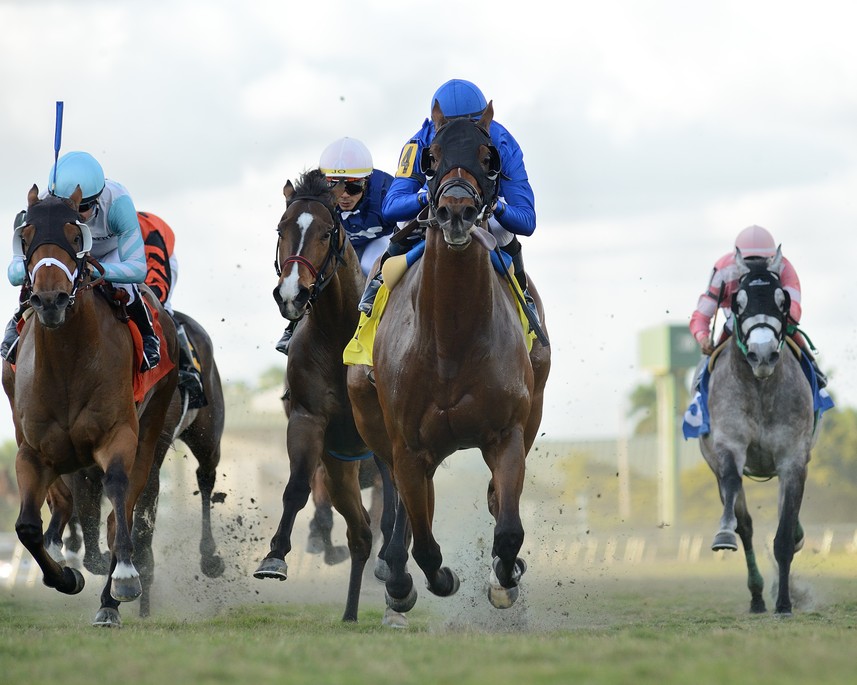 Carotari wins Silks Run 3-13-2021