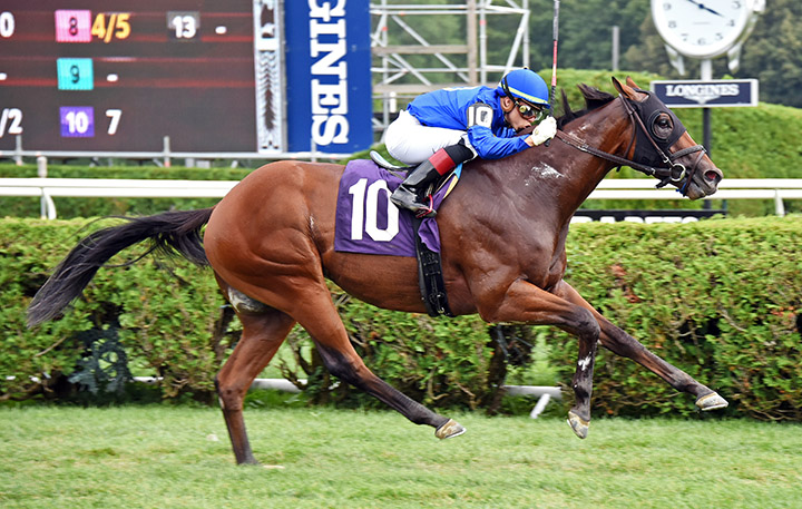 Carotari wins an Aug. 17 allowance at Saratoga Race Course