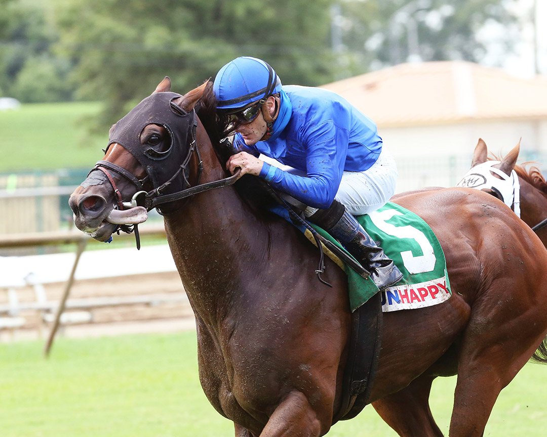 Carotari wins the 2020 Preview Turf Sprint at Ellis Park