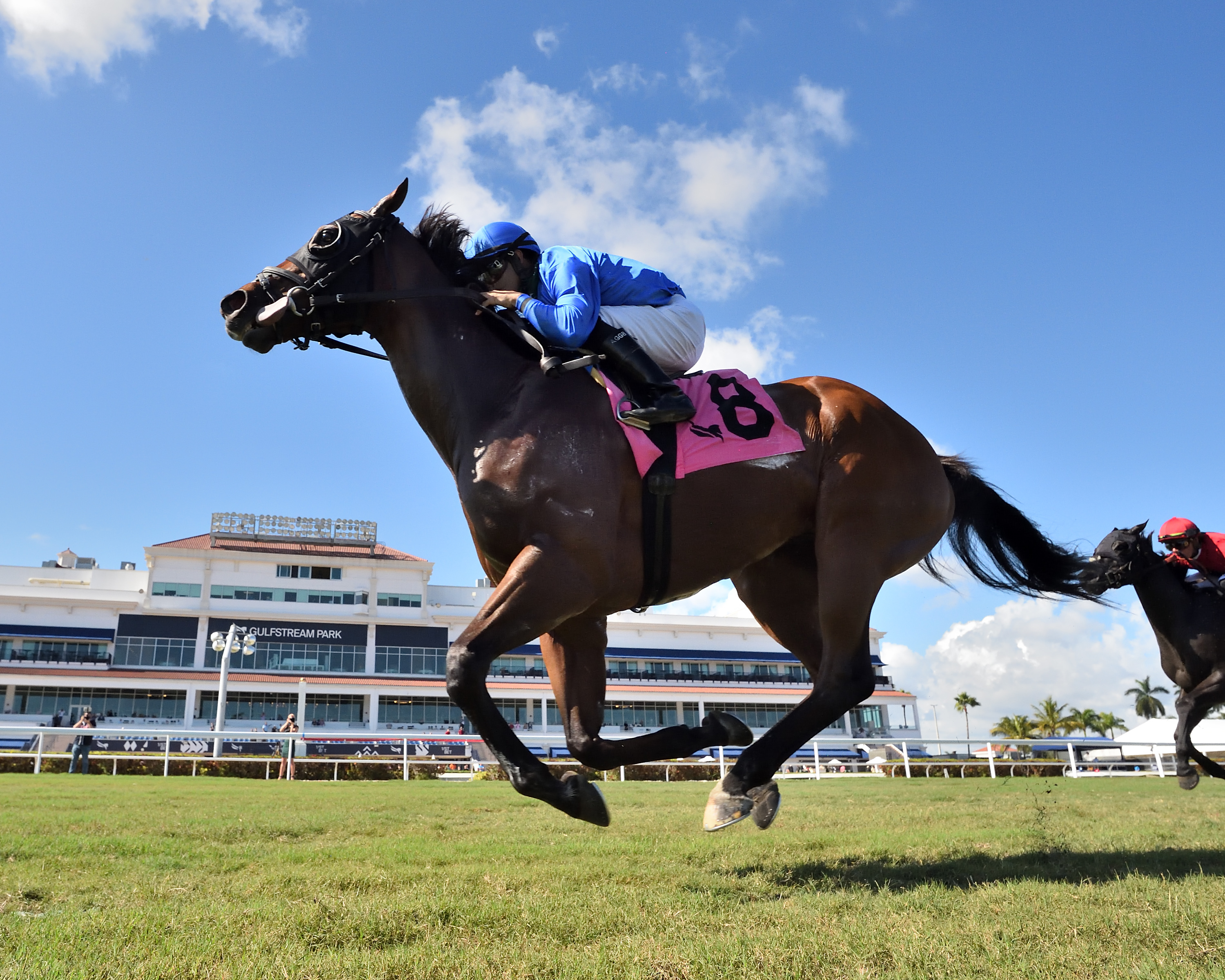 Carotari wins the Janus Stakes at Gulfstream on Dec. 31 2021