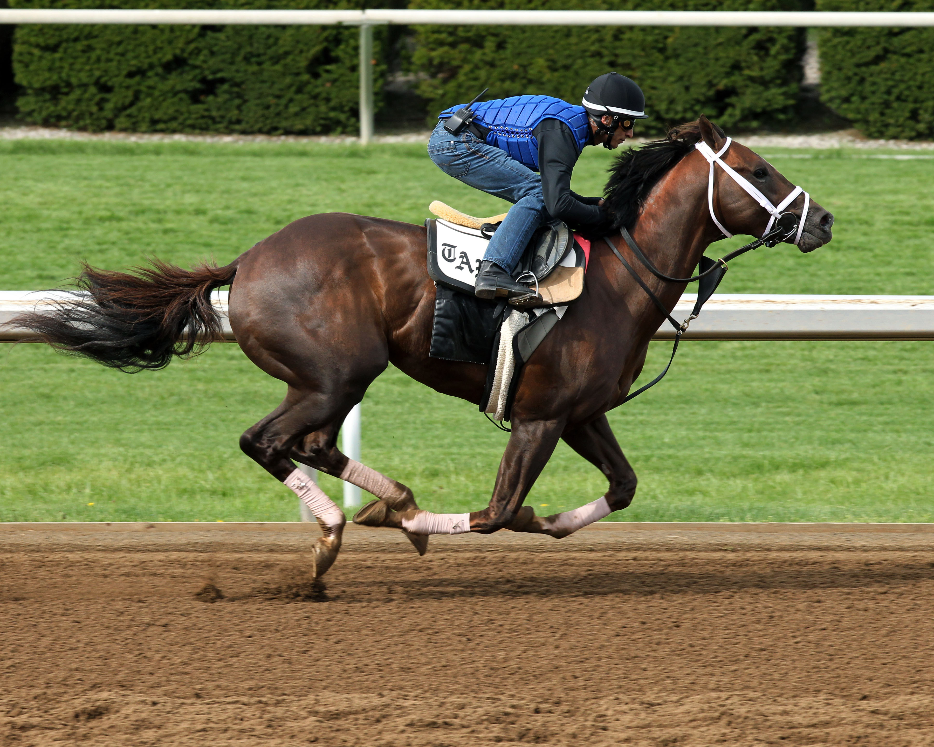 Carpe Diem derby work