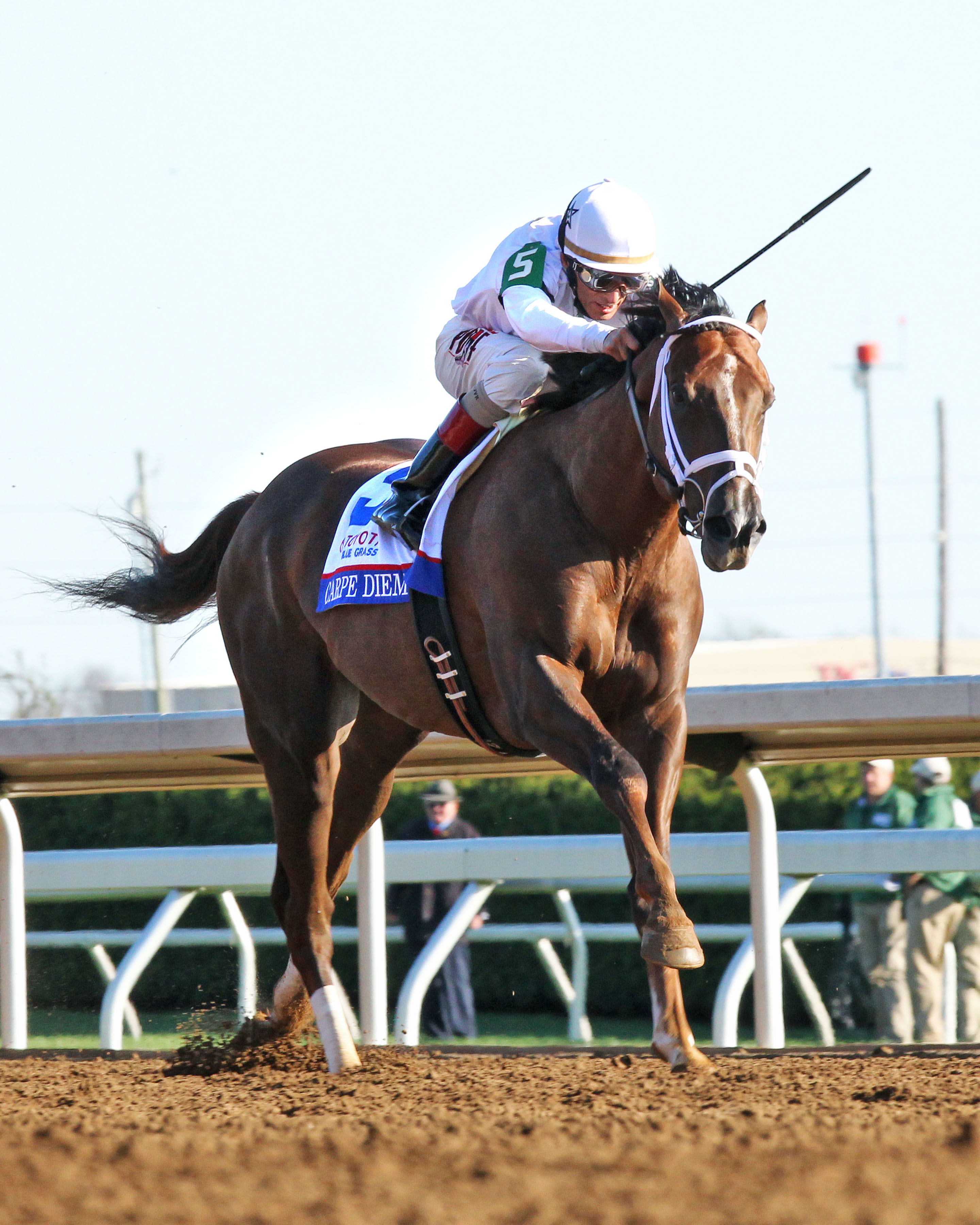 Sparkman: Giant's Causeway still looking for respect