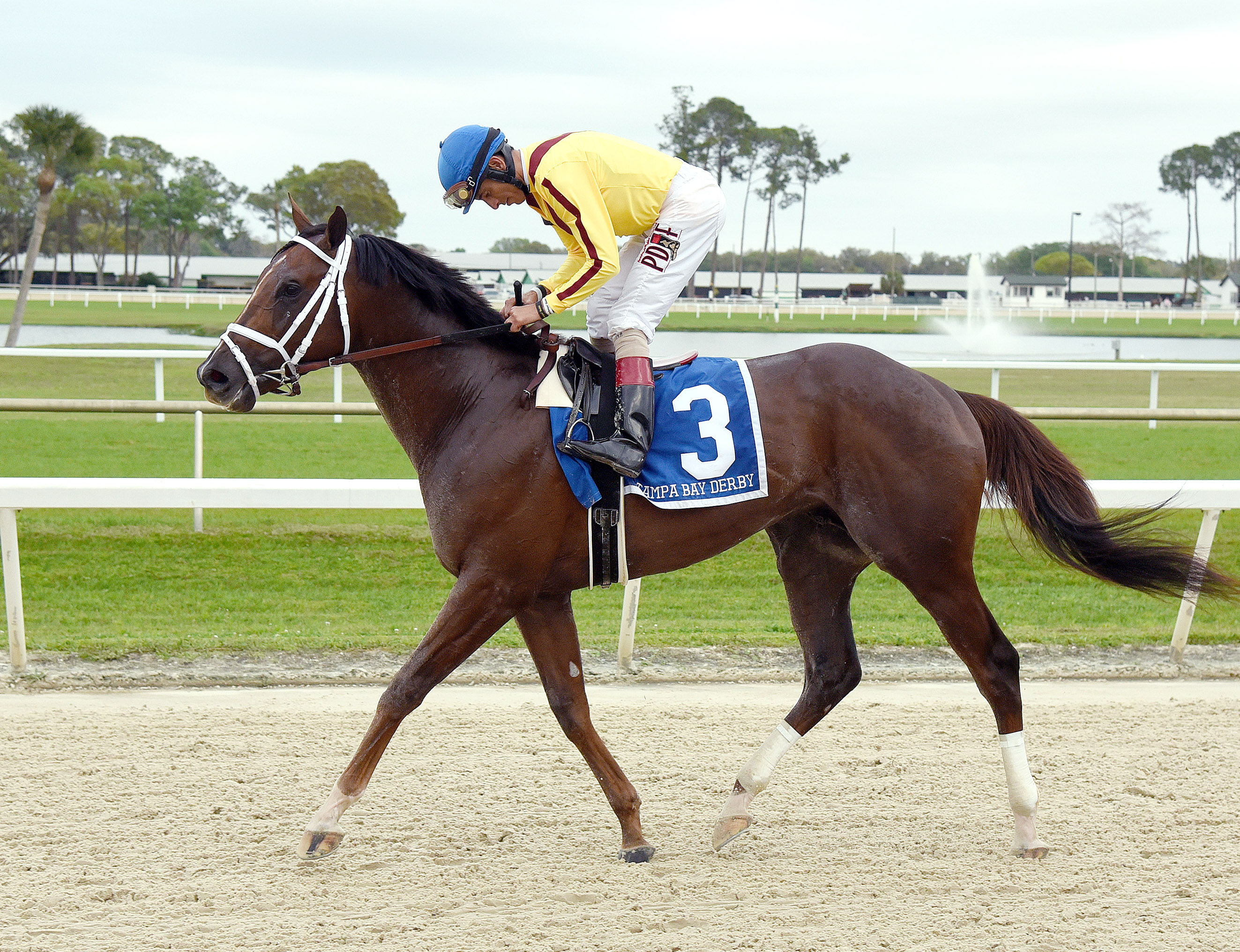 Carpe Diem wins the Tampa Bay Derby