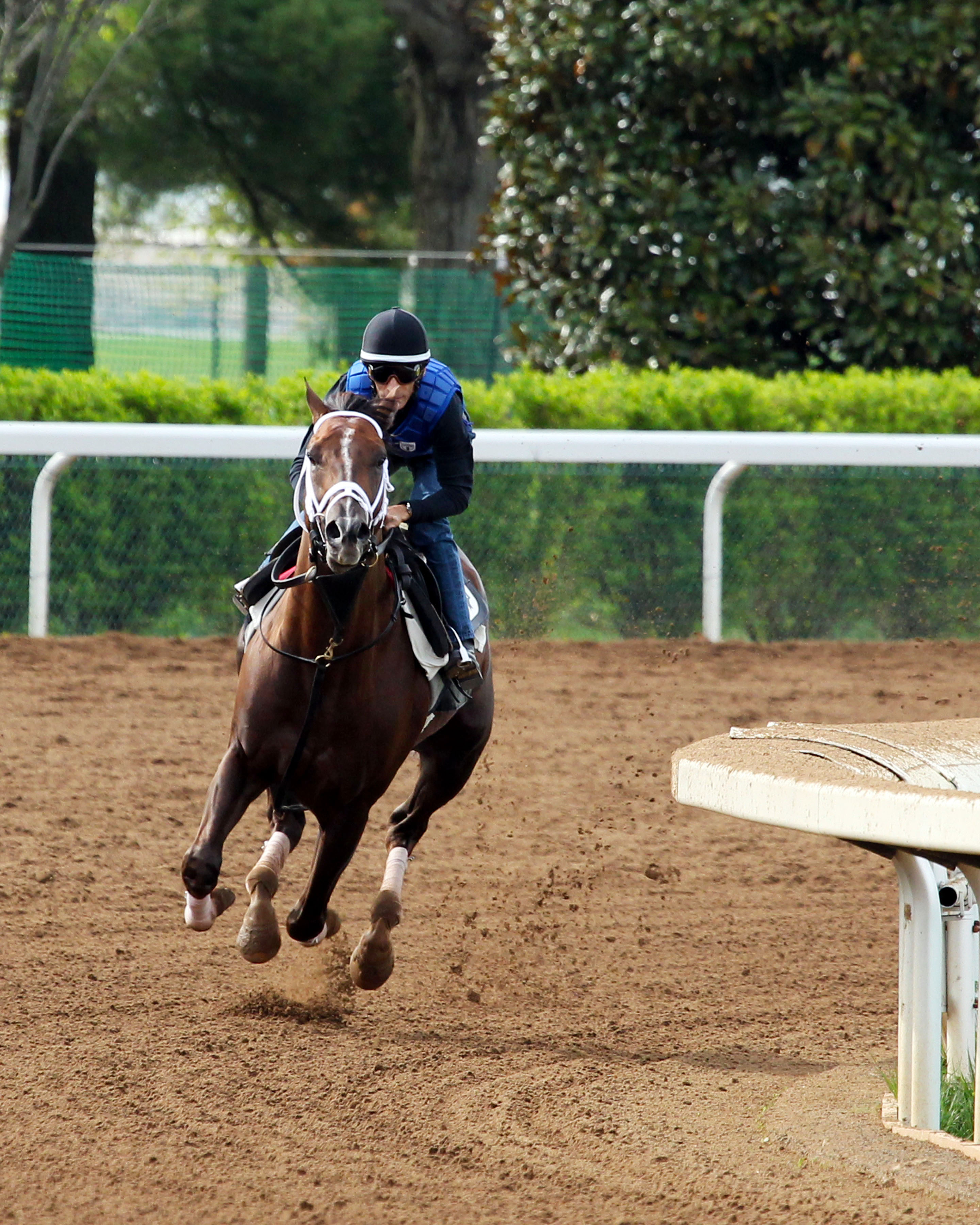 Carpe Diem trains at Keeneland on April 18