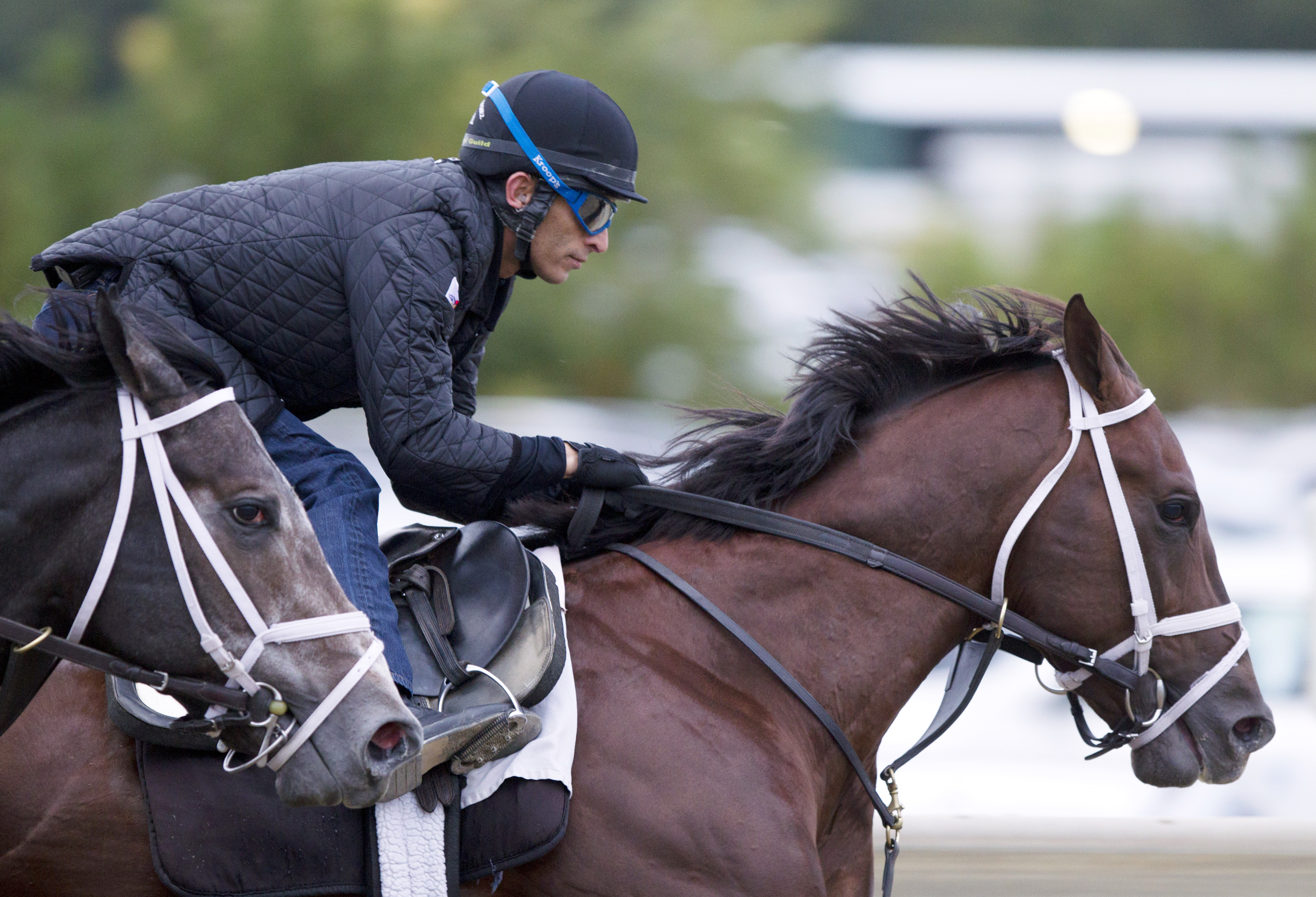Carpe Diem trains for Breeders' Cup