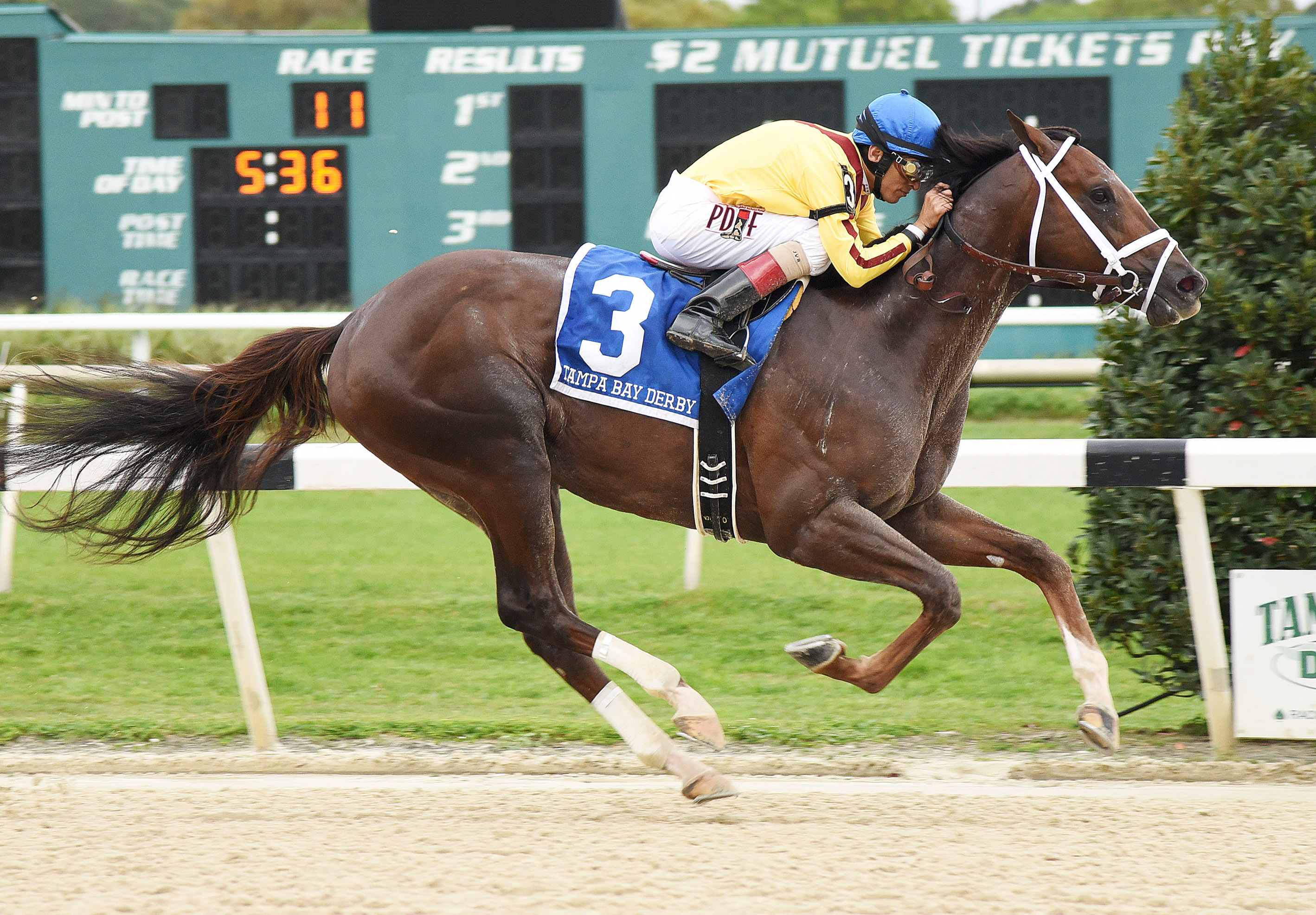 Carpe Diem wins the Tampa Bay Derby