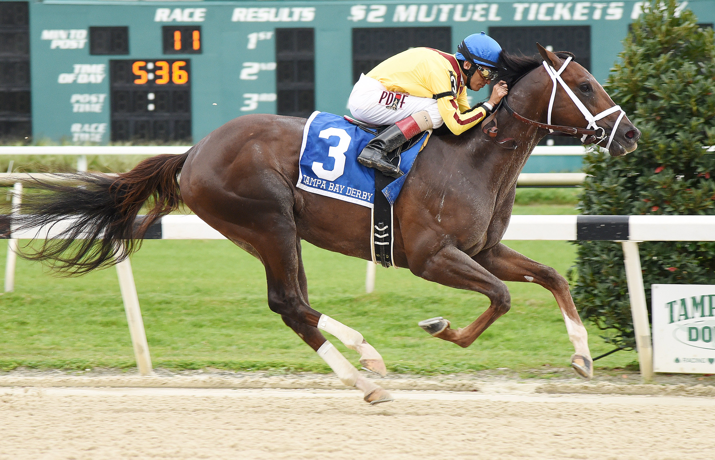 Carpe Diem wins the Tampa Bay Derby
