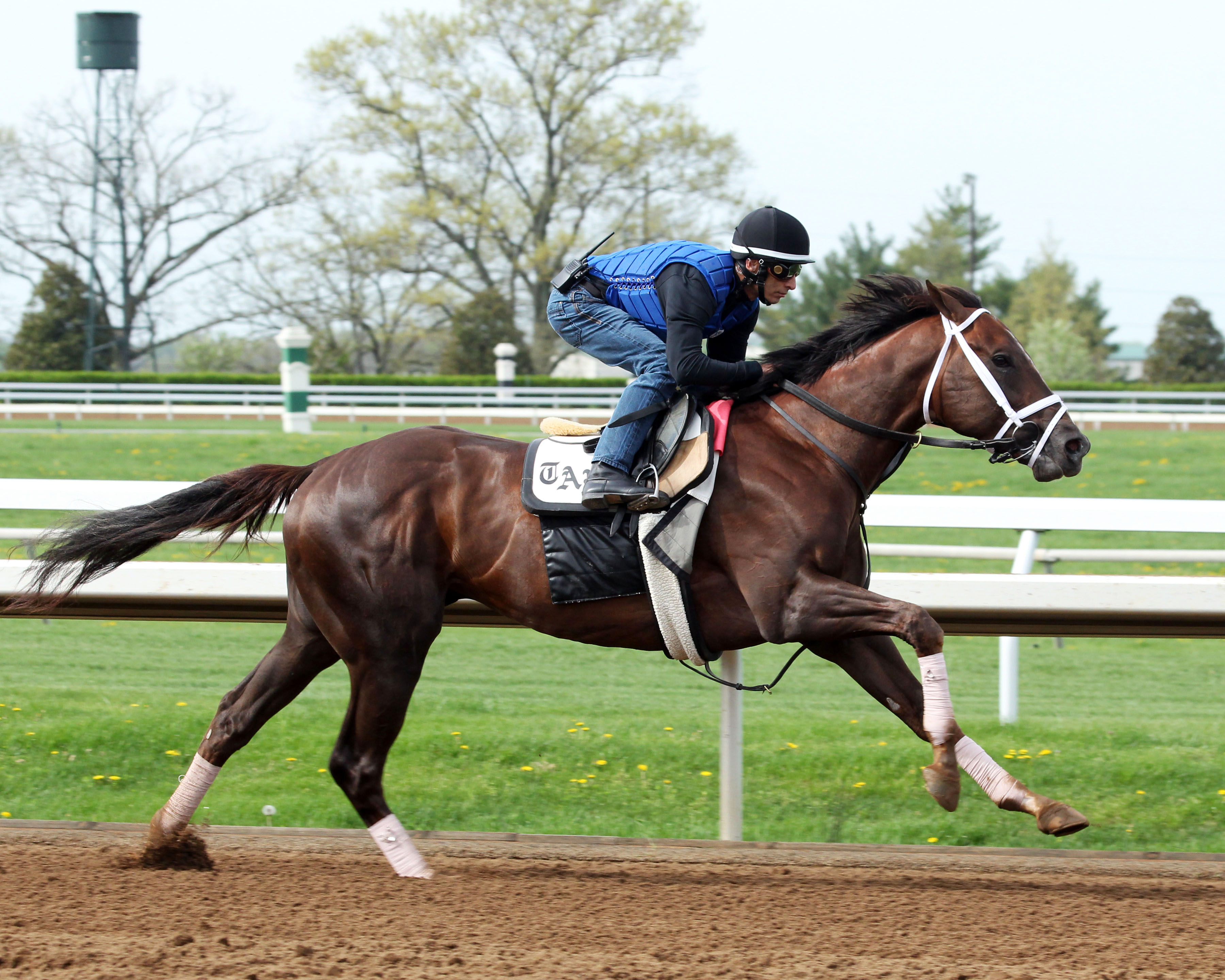 Carpe Diem trains at Keeneland