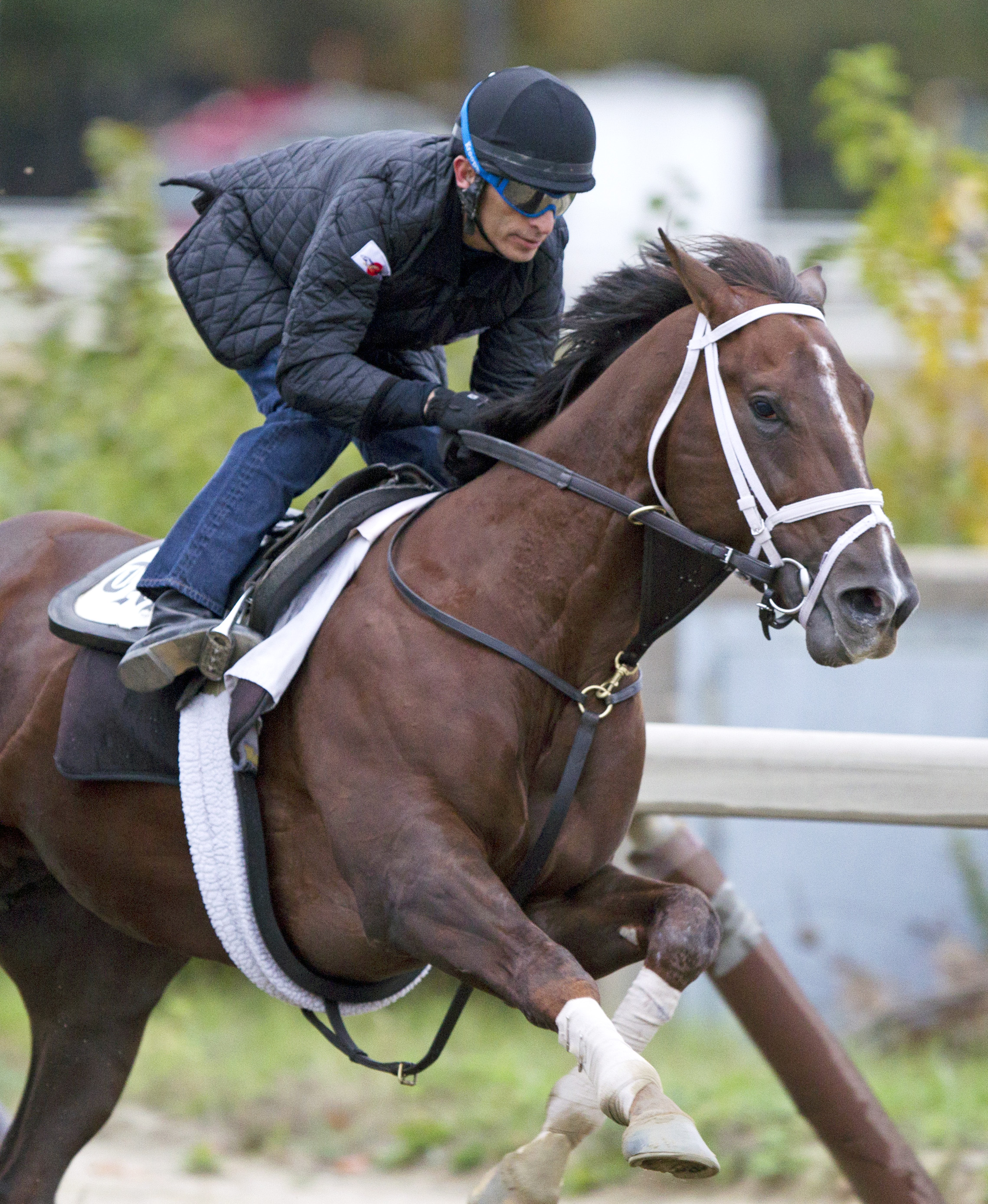 Carpe Diem training on Oct. 19