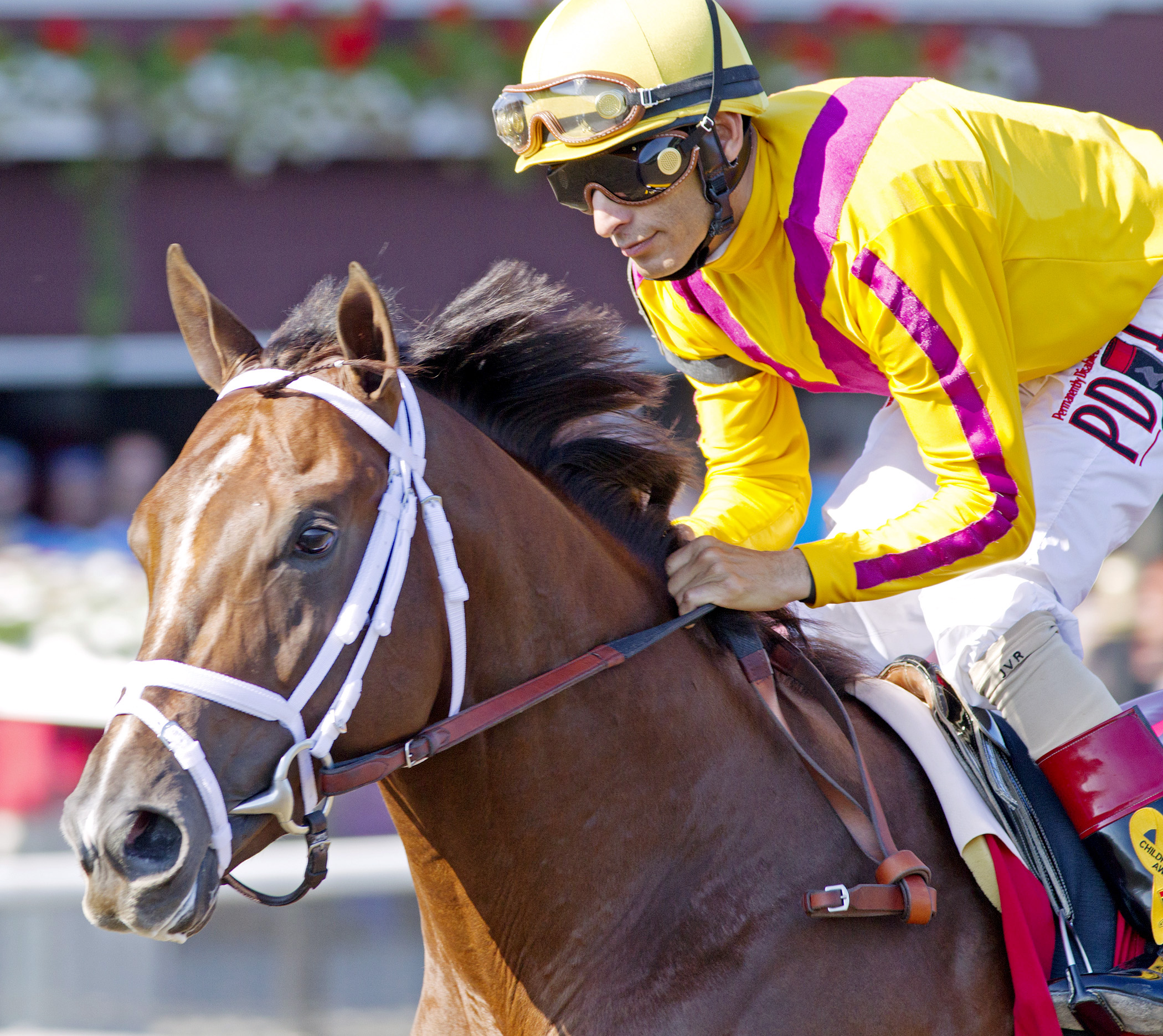 Carpe Diem wins a maiden race