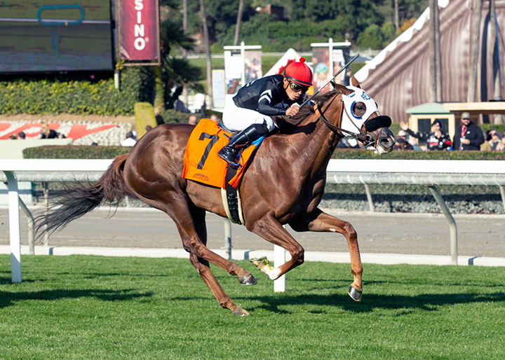 Carpe Vinum wins a Dec. 29, 2019 maiden race at Santa Anita Park
