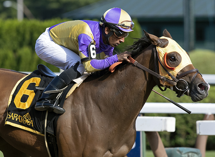Carrera Cat wins the 2019 Union Avenue Stakes at Saratoga Race Course