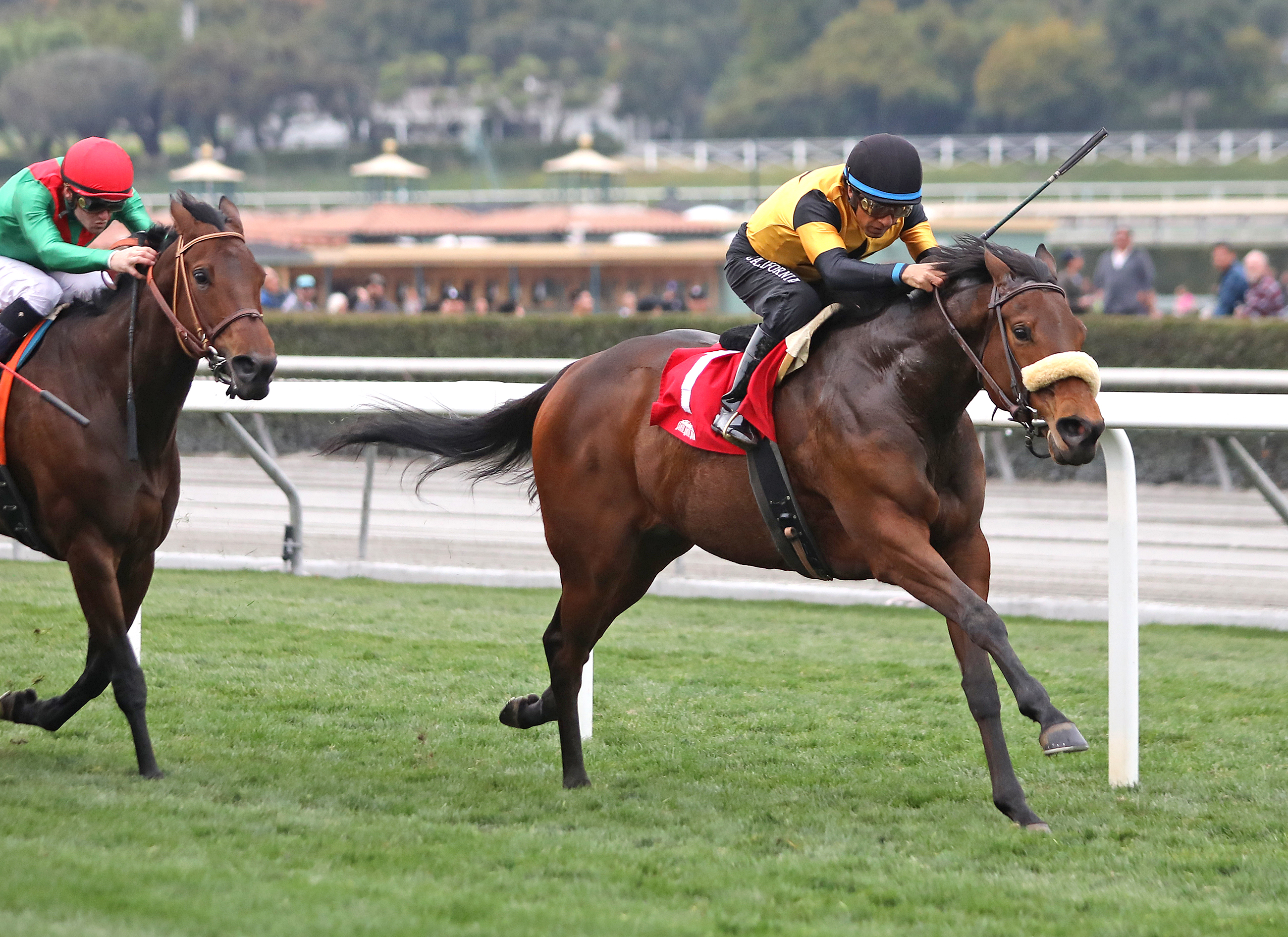 Carressa wins the 2020 Megahertz Stakes