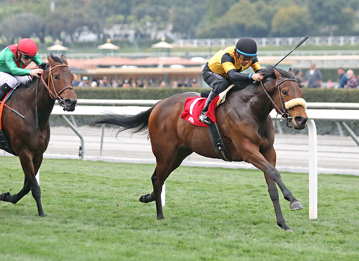 Carressa wins the 2020 Megahertz Stakes at Santa Anita Park